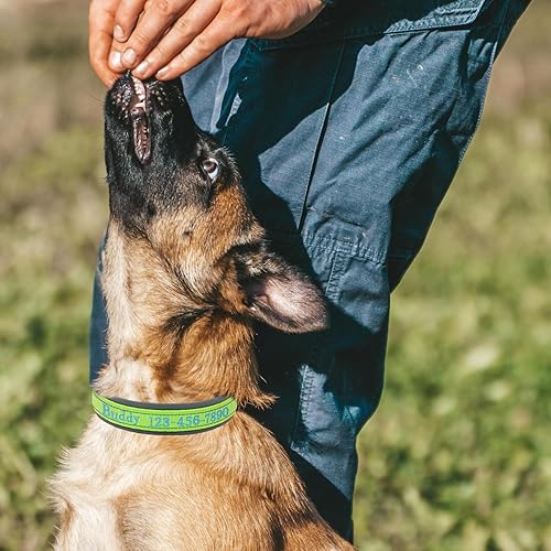 Miniatura 4 de Collar de perro personalizado de nailon con nombre y teléfono bordados, tira reflectante, forro de neopreno suave, hebilla de metal duradera, correa