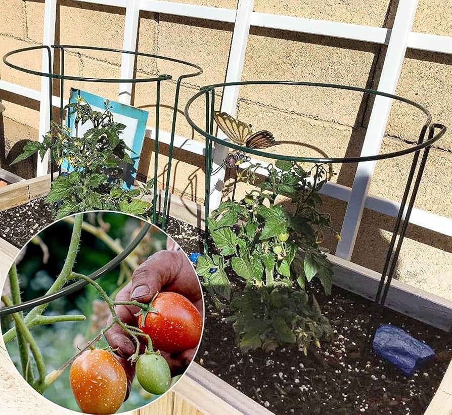 【新品】Hang out GRNT Plants Statnd 650&440 Amazon.com : Garmeinea Garden Stakes 57 Inches Plastic Coated