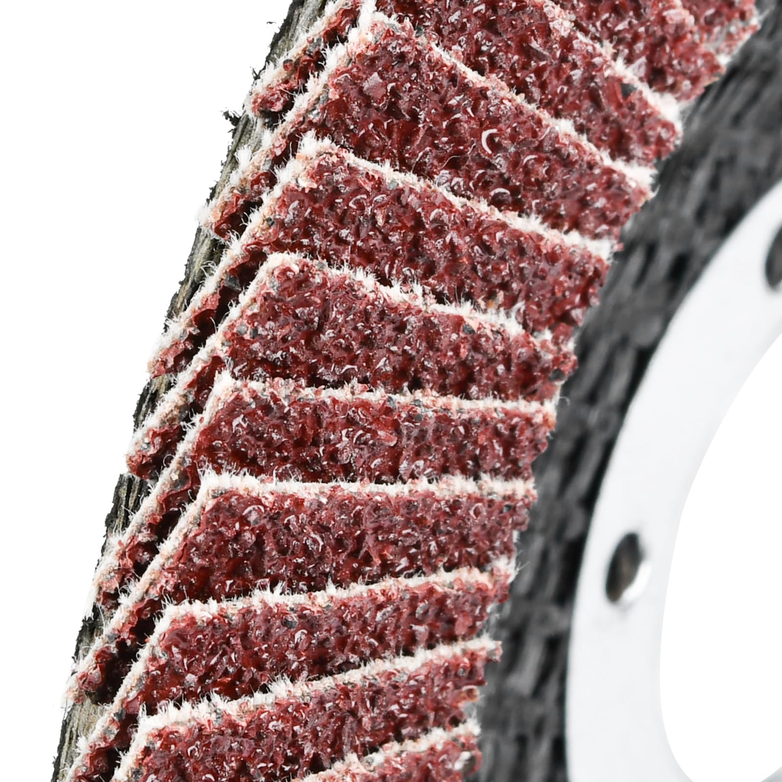 10 Pezzi Dischi Lamellari ø 125 mm x 22.2 mm Disco Lamellare Grana 80 Dischi Abrasivi per Acciaio Inossidabile Metallo e Legno