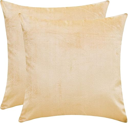 The White Petals Fundas de almohada turquesa claro (terciopelo sintético sólido, 22 x 22 pulgadas, paquete de 2)