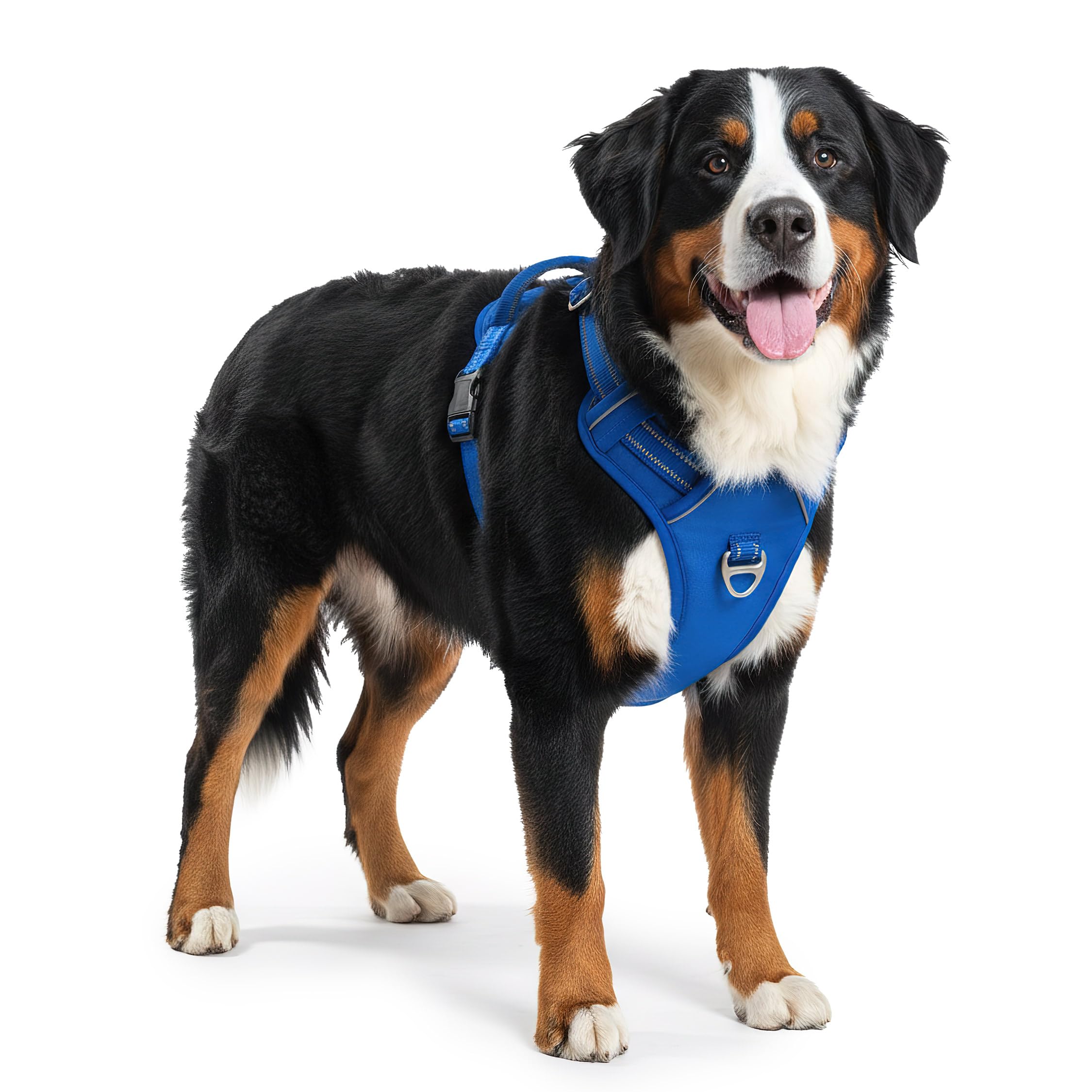 Reichstadt Pets Pettorina Cane Anti-Tiro per Cani Grandi 25RSP083 Blu L | Pettorina regolabile e imbottita con maniglia, inserti riflettenti e tessuto traspirante per passeggiate sicure