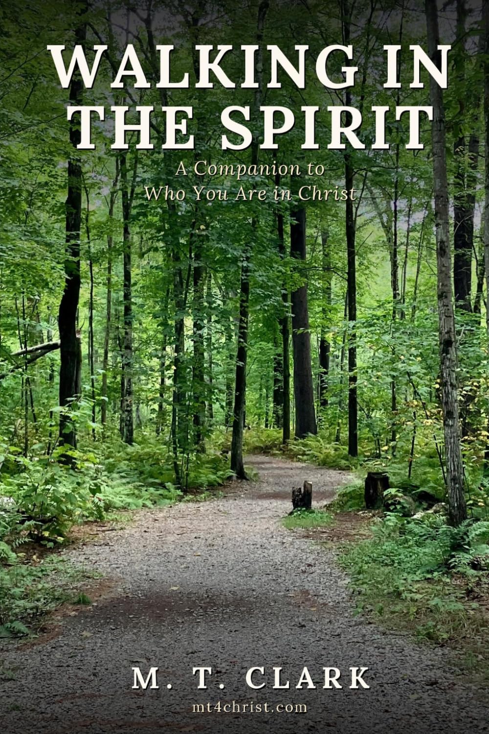 Walking in the Spirit: A Companion to Who You Are in Christ (MT 4 Christ Foundational Discipleship)