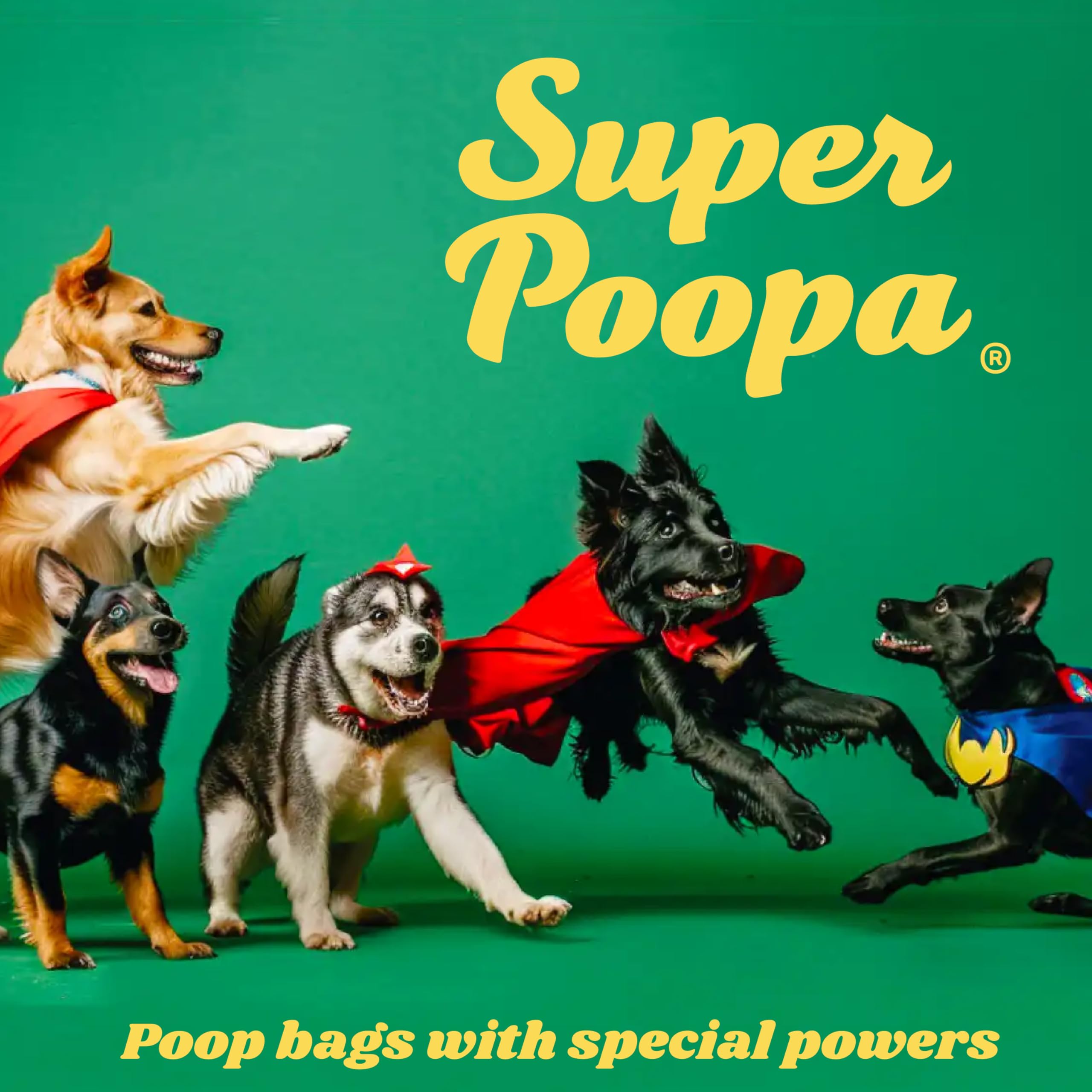 Eco-Friendly Dog Poop Bags - Guaranteed Leak-Proof, Extra Thick & Strong Dog Waste Bags, Geranium Scented, Made from certified post-consumer recycled plastic, 270 Count - 4