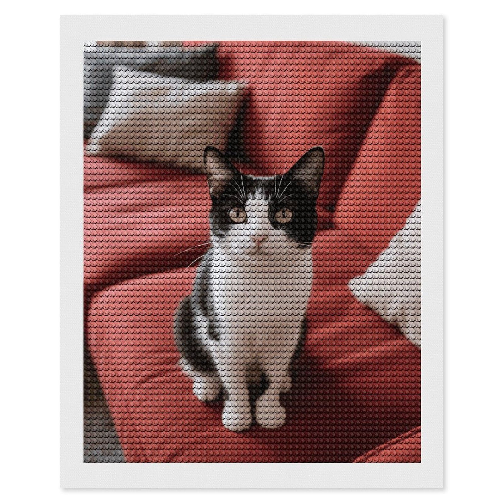 DWVTSLH Cat on The Sofa Diamond Painting Kits for Adults, Personalized Diamond Photo Art Full Drill, DIY 5D Diamond Art Painting Kits for Beginners, Home Wall Decor 16"x20"