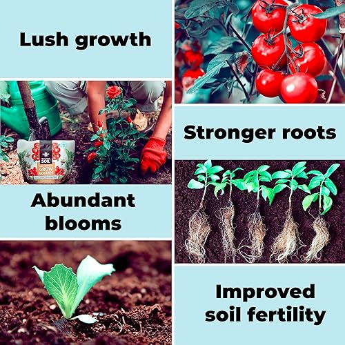Miniatura 4 de Grow Goodies Fertilizante de jardín – Alta potencia – Fácil multiusos para jardines, verduras, flores, orquídeas + superalimentos orgánicos (1 libra)