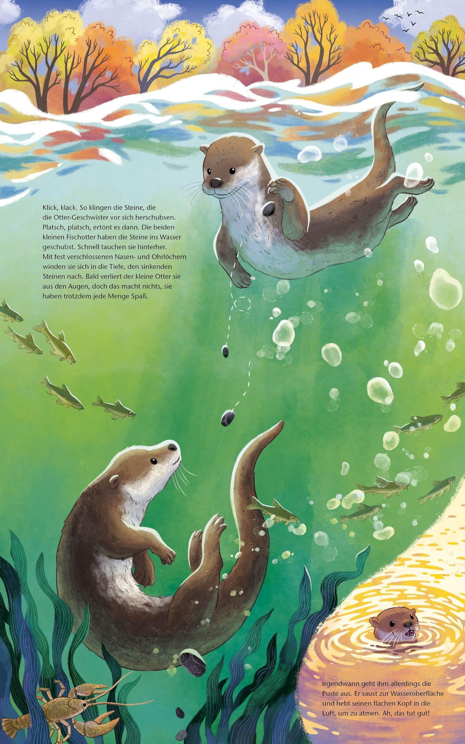 Der kleine Otter - Zu Hause in den Flüssen Europas: Bilderbuch mit erstem Sachwissen für Kinder ab 4 Jahren (Tierkinder und ihr Zuhause)