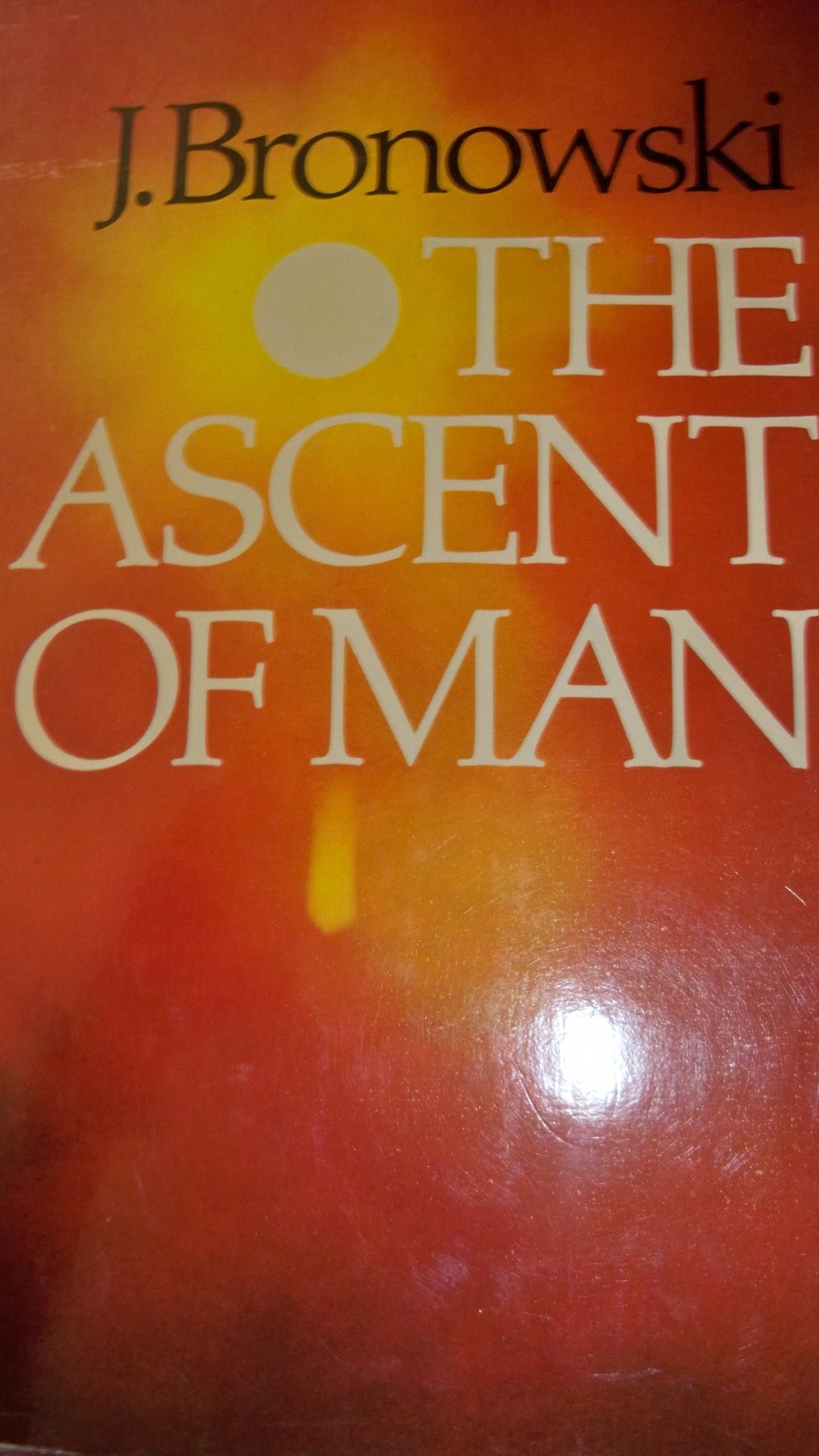 THE ASCENT ON MAN - Image 5