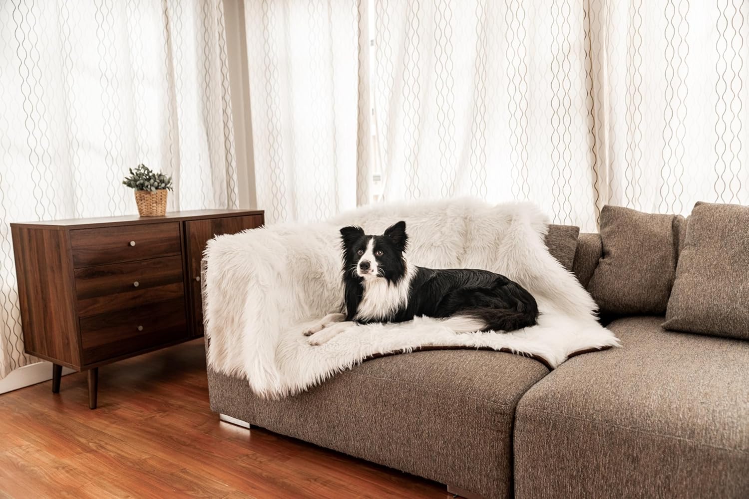 PupProtector Waterproof Throw Blanket for Dogs and Cats, Pet Blanket Cover for Couches, Sofas, Beds, Car Seats, Furniture, Calming Soft Faux Fur, Polar White, Original (60" L x 50" W) - Image 6