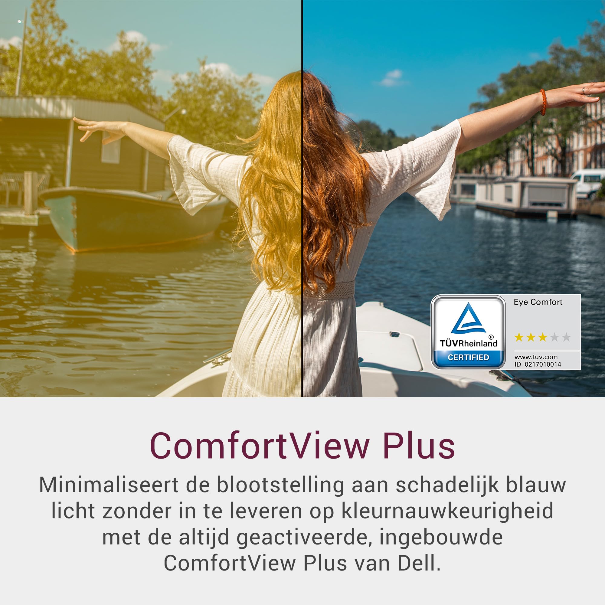 Dell SE2225HM 21.5-inch FHD Monitor, 100Hz VA Panel, 5ms Response Time, 3000:1 Contrast, HDMI/DP/VGA Ports