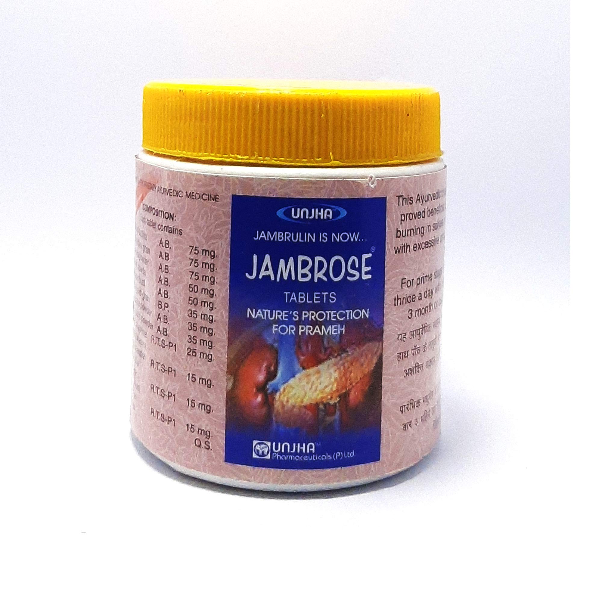 WellAura Unjha Jambrose Tablets -100 Tablets(Pack of 2) (UJ122) (B07ZC9ZBVY) Amazon Price History, Amazon Price Tracker