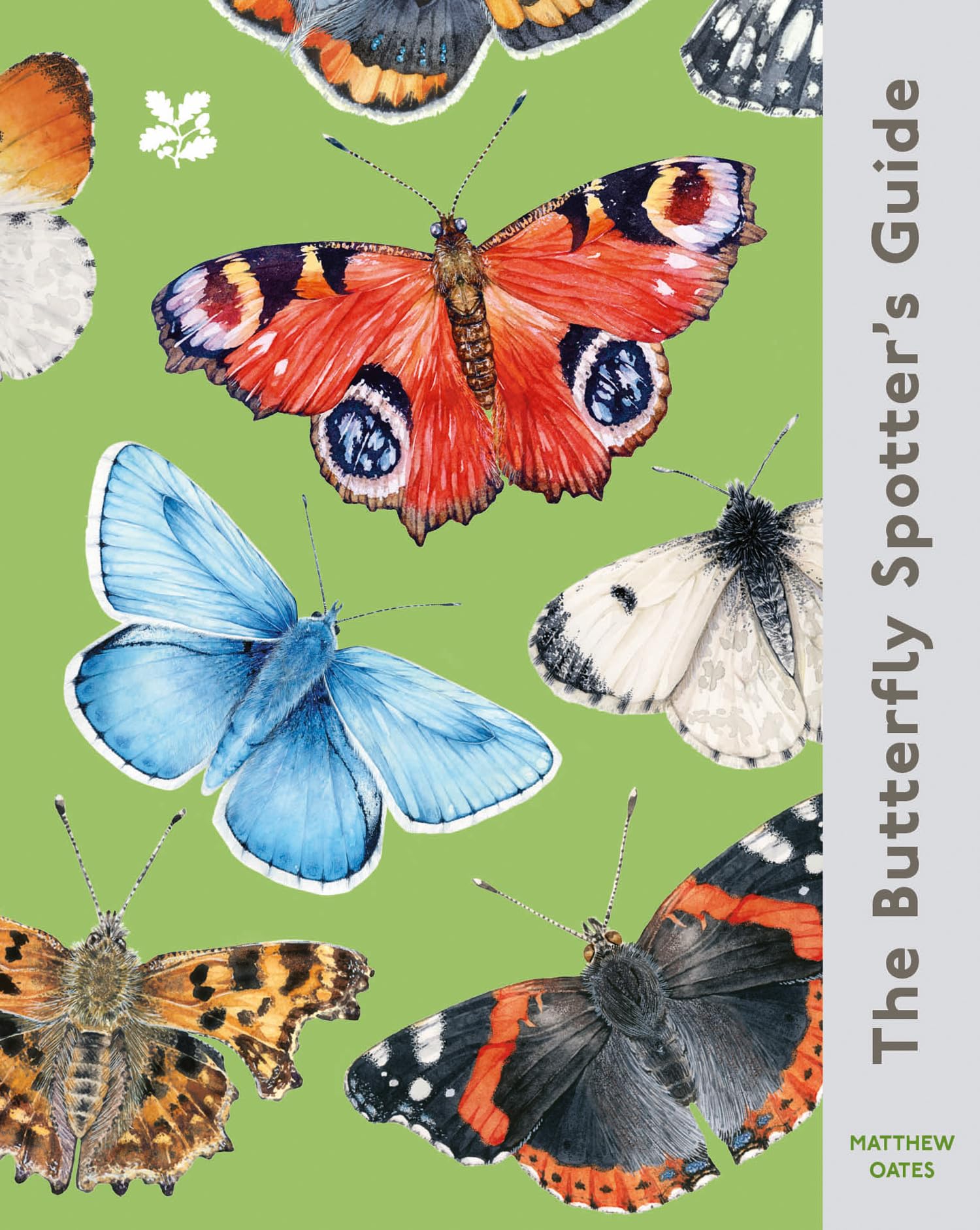 The Butterfly Spotter’s Guide: A beautiful little beginner’s guide to Britain’s butterflies – how many can you spot? (National Trust)