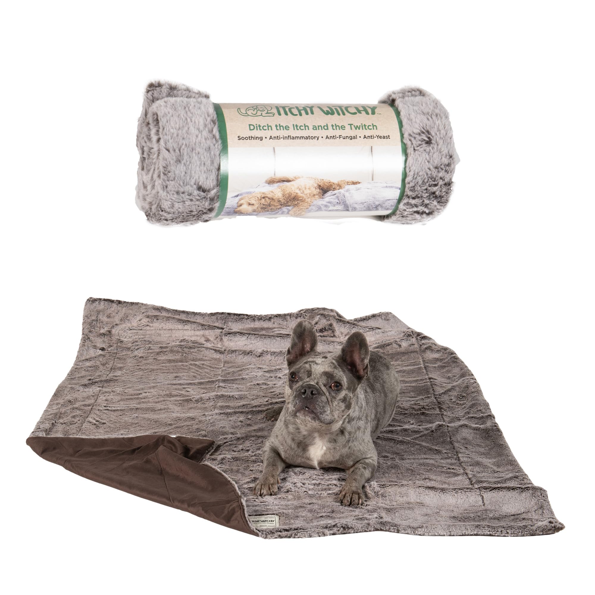 Dog Gone Smart Itchy Witchy Plush Dog Blanket, Chocolate Truffle, 30x40-in