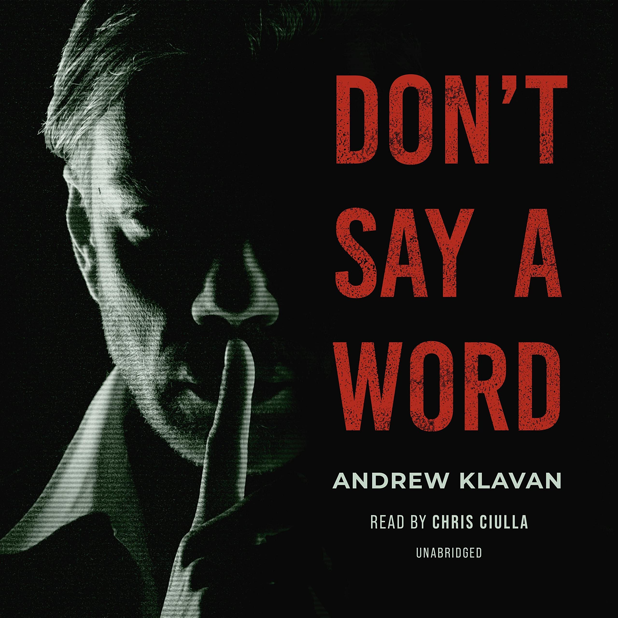 Cover art for Don’t Say a Word