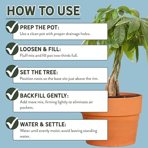 Vista 31 de Mezcla de plantación para propagación de plantas (4 cuartos), mezcla sin suelo mezclada a mano para propagar plantas, plantas de interior y más