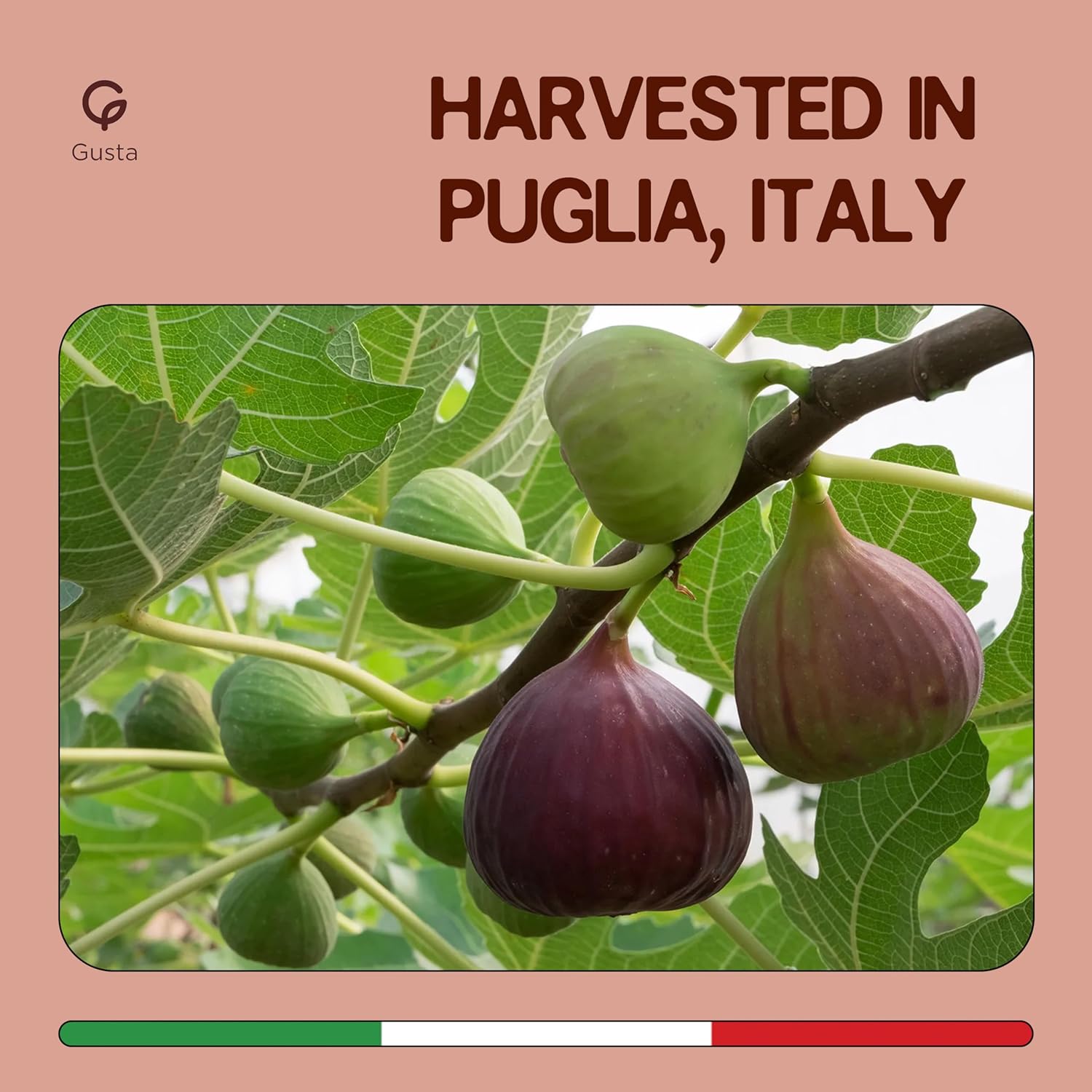 Gusta Figs Jam Preserve - Made in Italy Fruit Preserve & Jam - Only 2 Ingredients - Perfect Fig Jam for Baking - Non-GMO, All Natural - Fresh & Genuine Italian Delicacy - 9.17oz Glass Jar