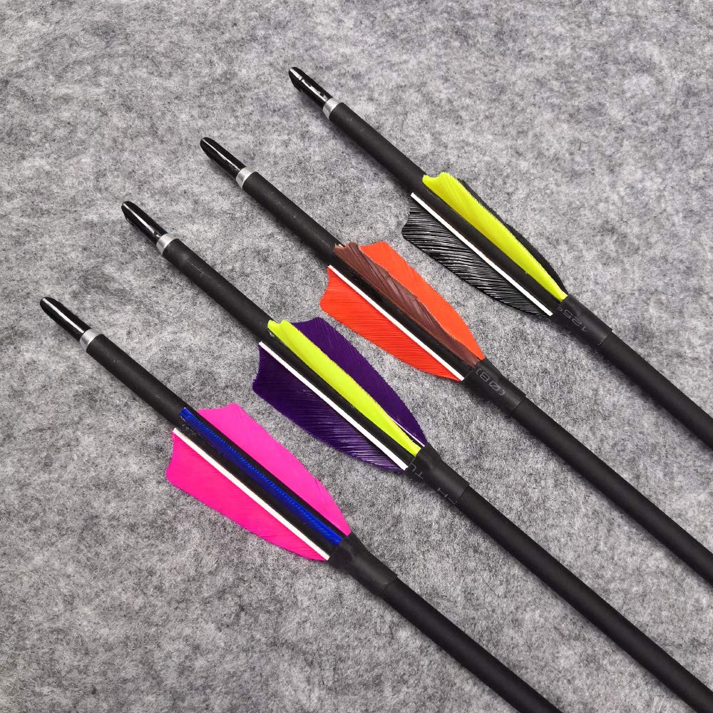 HNZMDY Flèches en Carbone de Tir à l'arc 400-1000 Flèches de Chasse Flèches d'arc de Compétition ID 4.2mm Flèches de Cible pour Arc Recourbé Arc à Poulies 12pack (12, Spine 400