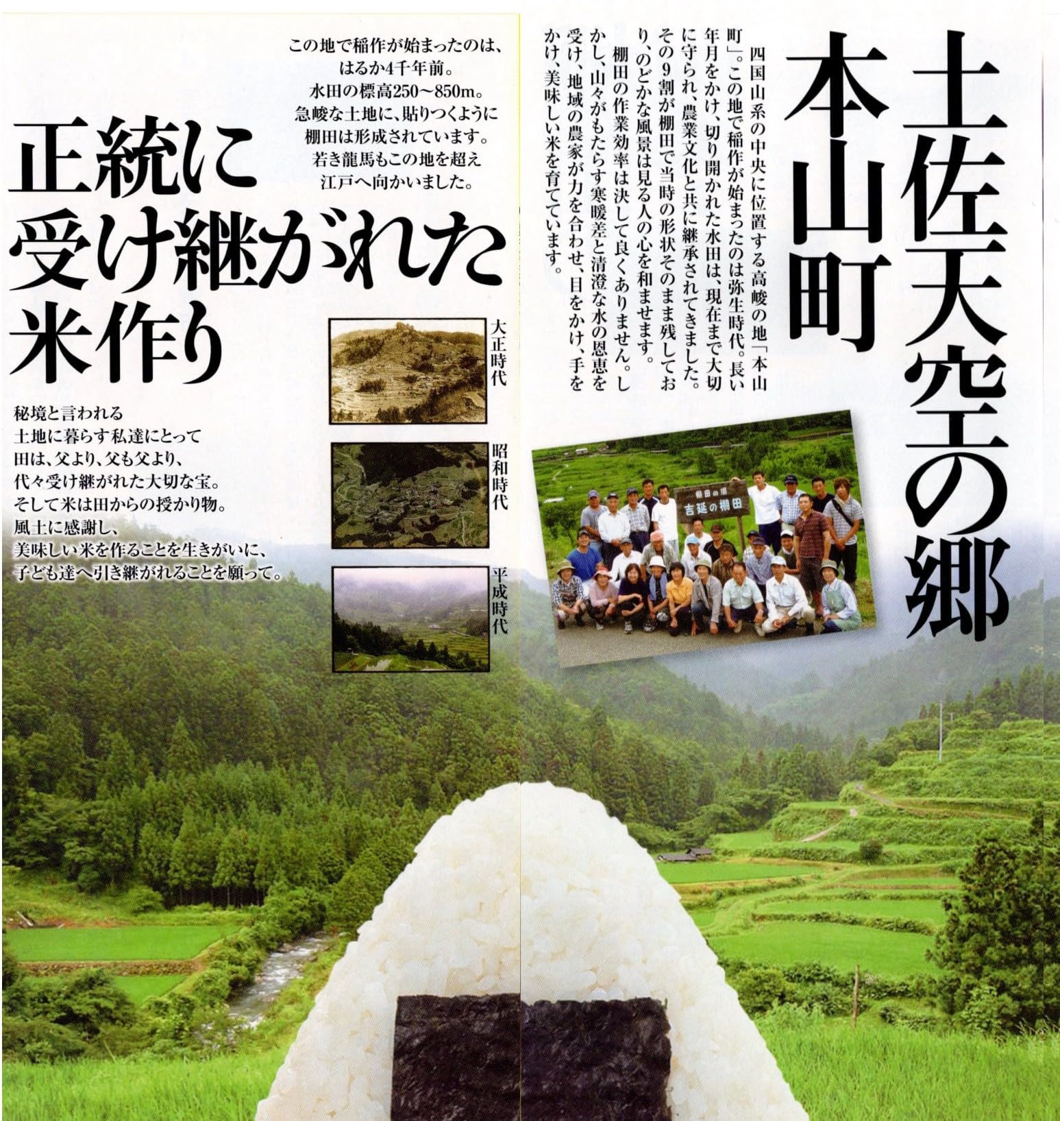 Amazon.co.jp: 【無洗米】高知産 土佐天空の郷 にこまる 無洗米10kg