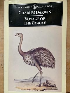 The voyage of the beagle