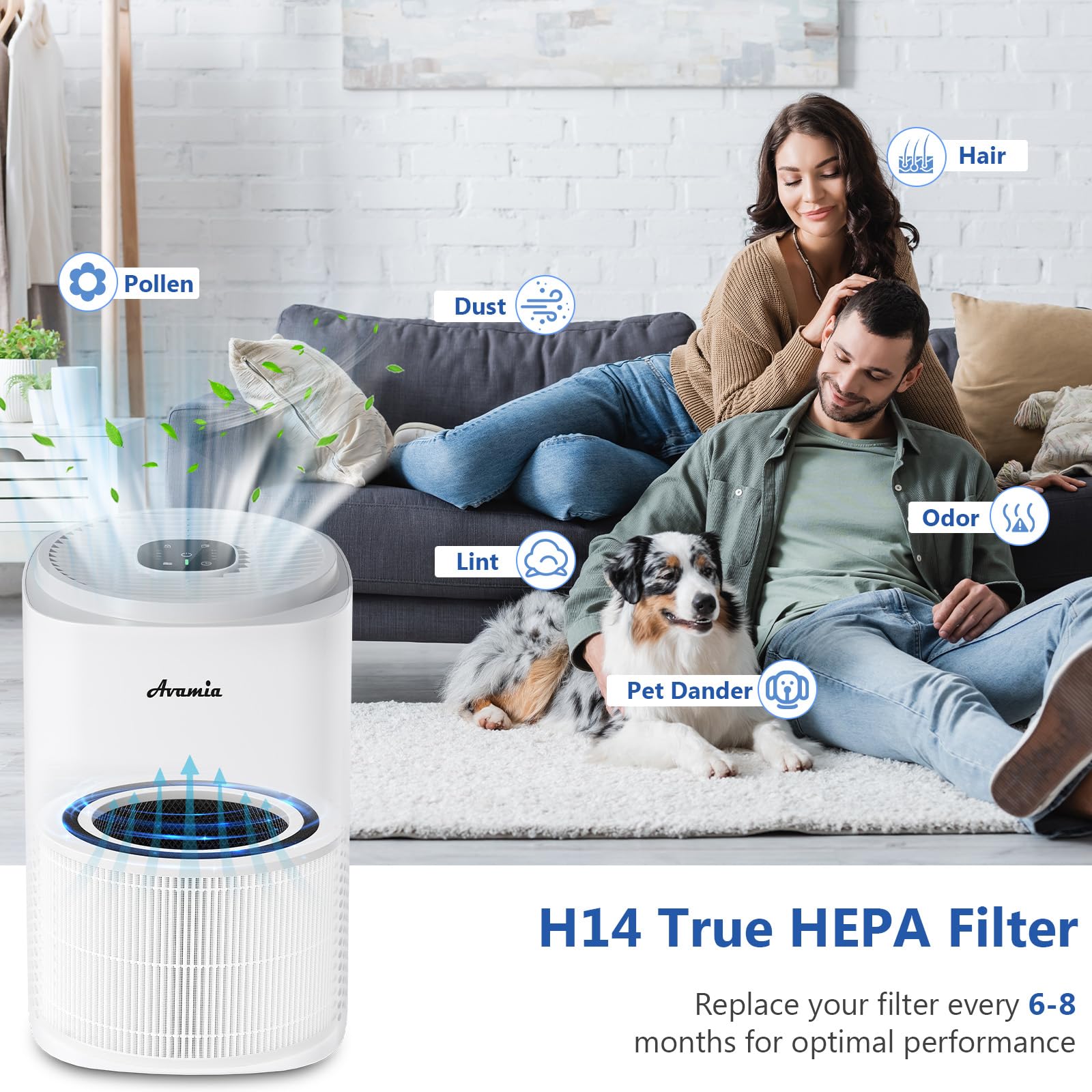 djive Filtre de remplacement HEPA 14 compatible avec ARC Casual, ARC Humidifier & ARC Portable, filtre H14 accessoire élimine 99,995% des particules de poussière, pollen et poussières fines