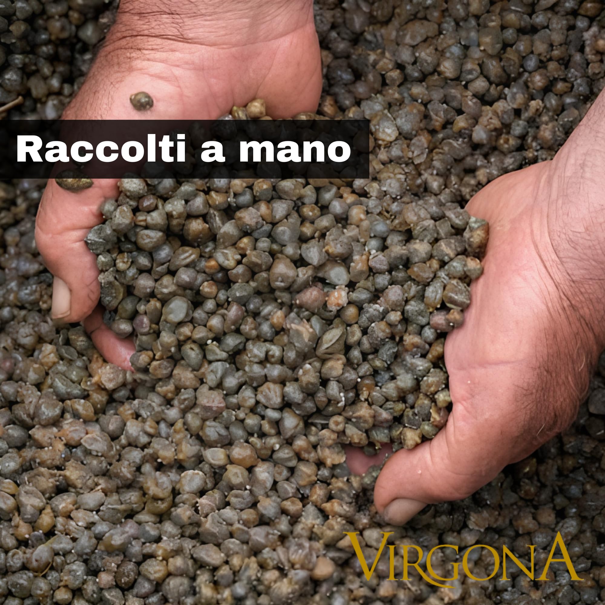 Capperi di Salina Piccoli - Virgona Presidio Slow Food 250g/500g – Premiati Top Food Gambero Rosso 2026 – Capperi delle Isole Eolie – Ingredienti Gourmet Italiani (500g)