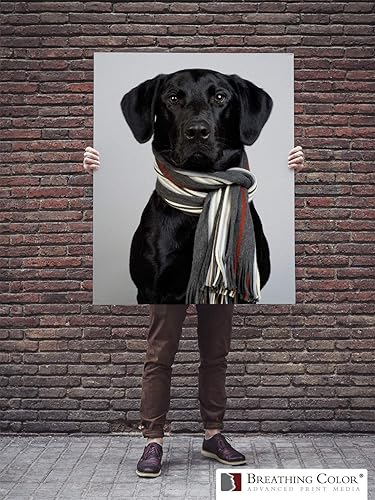 Miniatura 7 de Hojas de lona mate prémium Lyve elección de profesionales para inyección de tinta de archivo para uso en impresoras Epson, Canon y HP. 25 hojas de