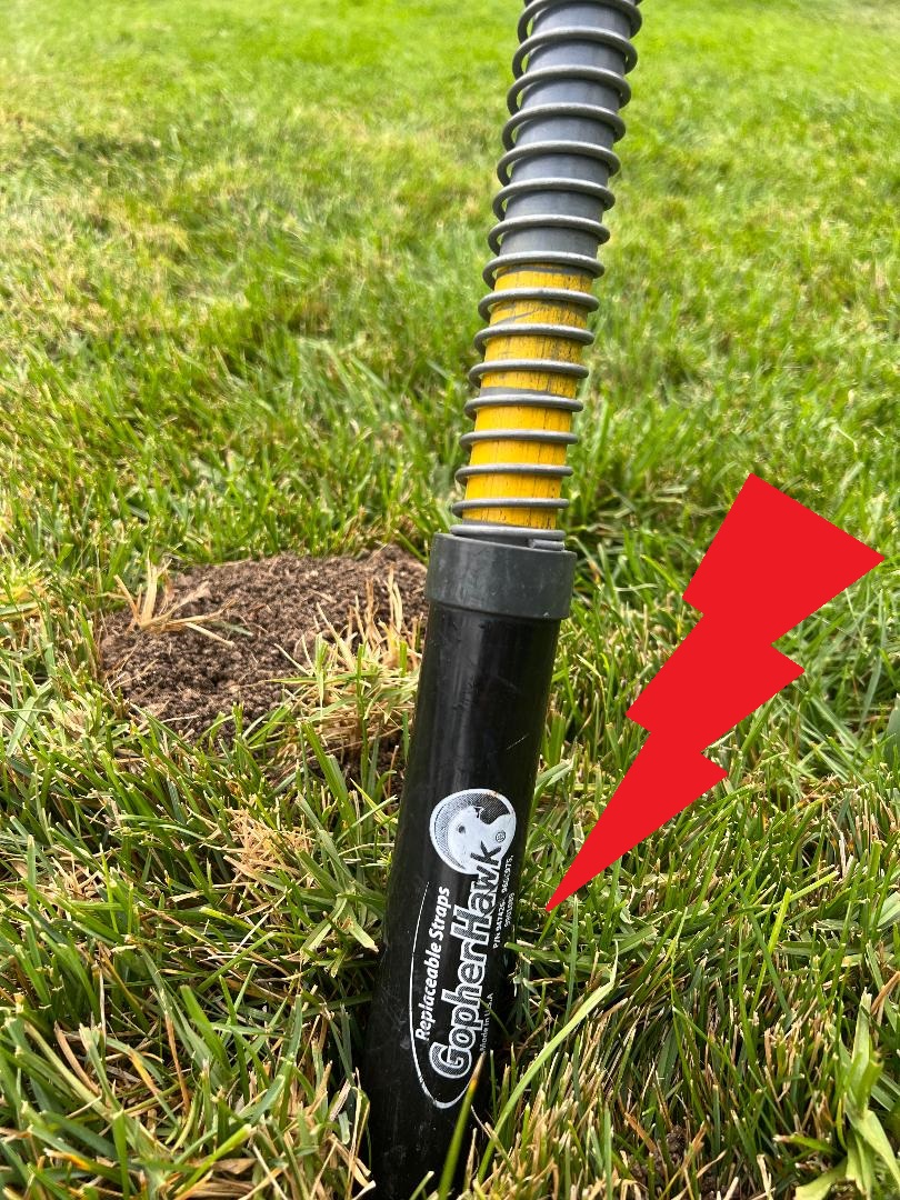 Watch After 4 years I will say this gopher trap is amazing on Amazon Live