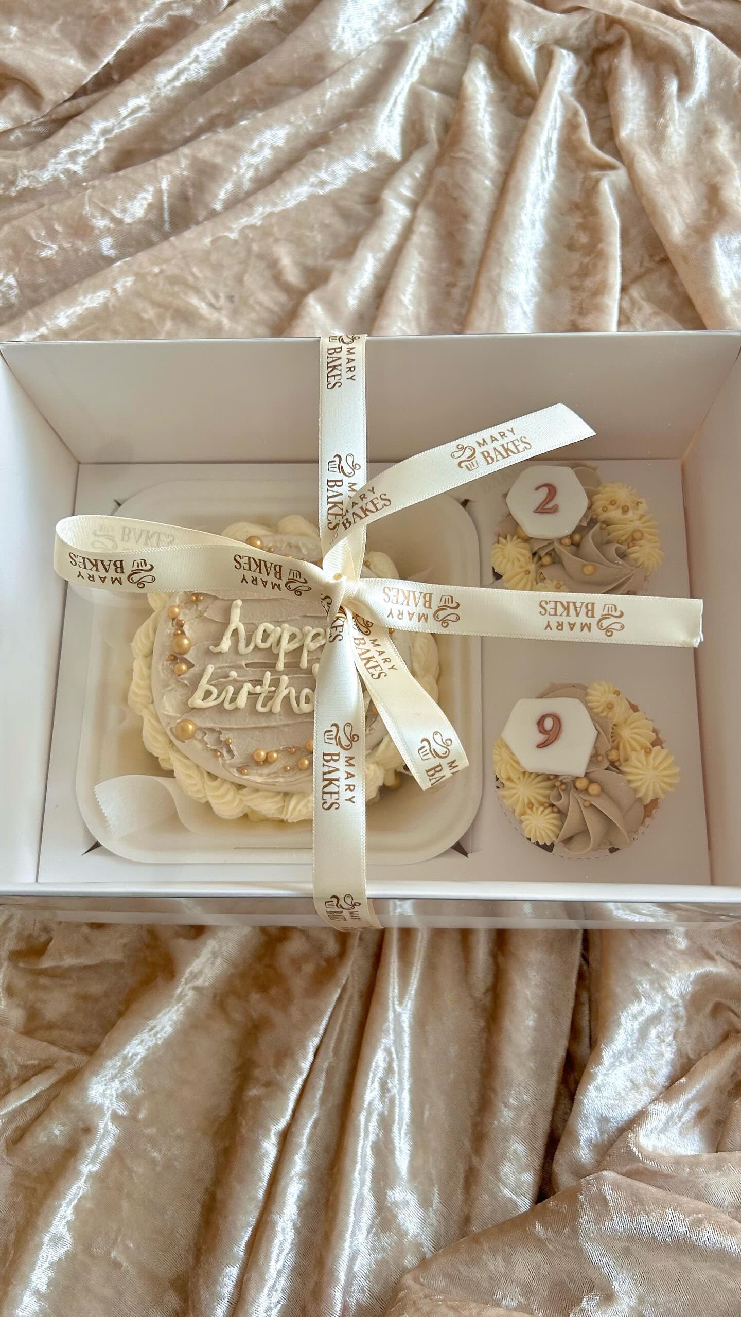 Caja transparente para bento, magdalenas, galletas, tartas, varios tamaños, cajas de altura mejorada (10, Bento + 2 tapas transparentes para cupcakes, base blanca)