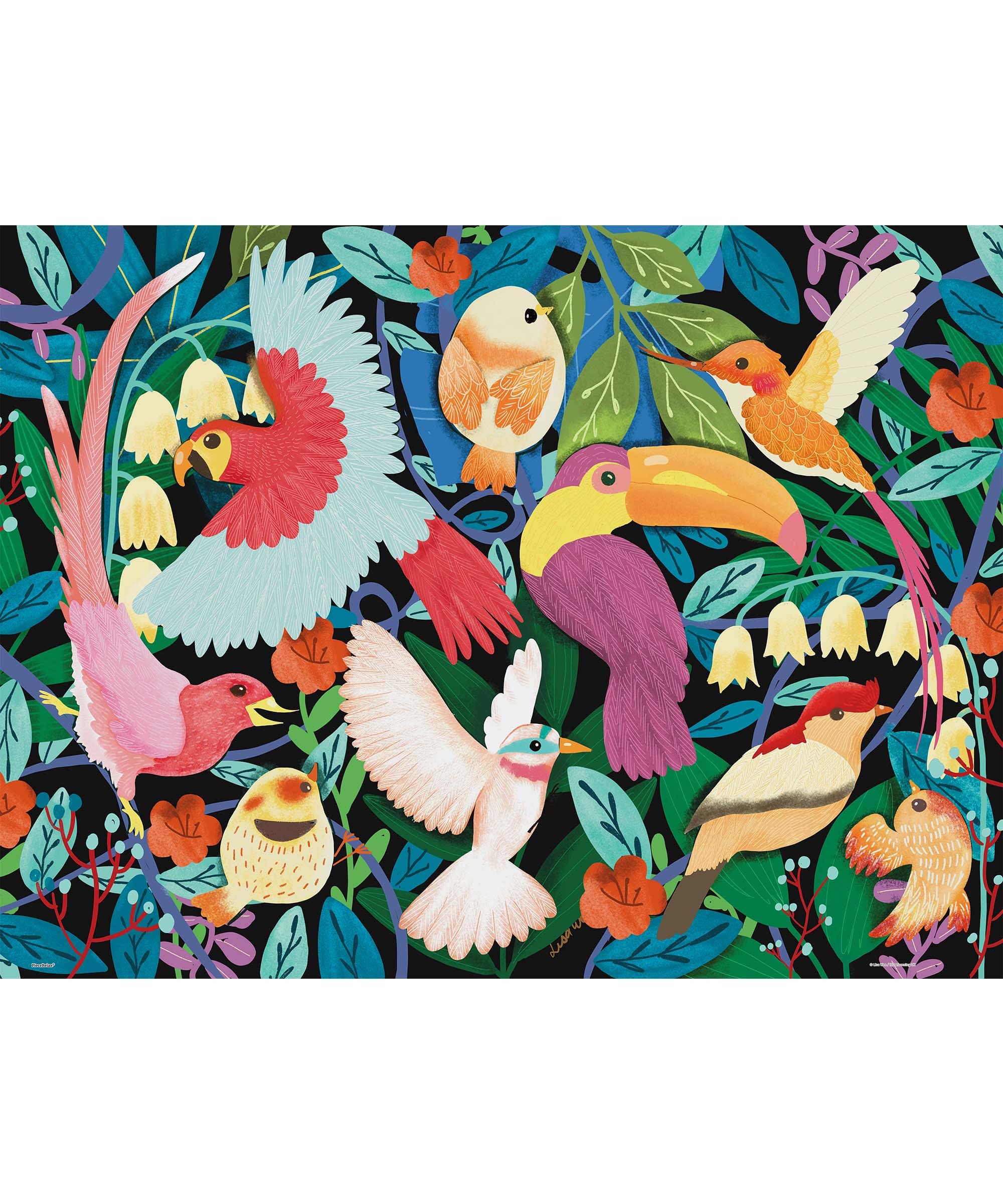 PieceRelax PieceClicks Plastic Jigsaw Puzzles for Adults 1000 Pieces Tropical Bird Puzzle Lisa Wee - Exotic Birds - 25.2 x 18.9 Inches, Wildlife Nature Jigsaw Puzzle [U1086]