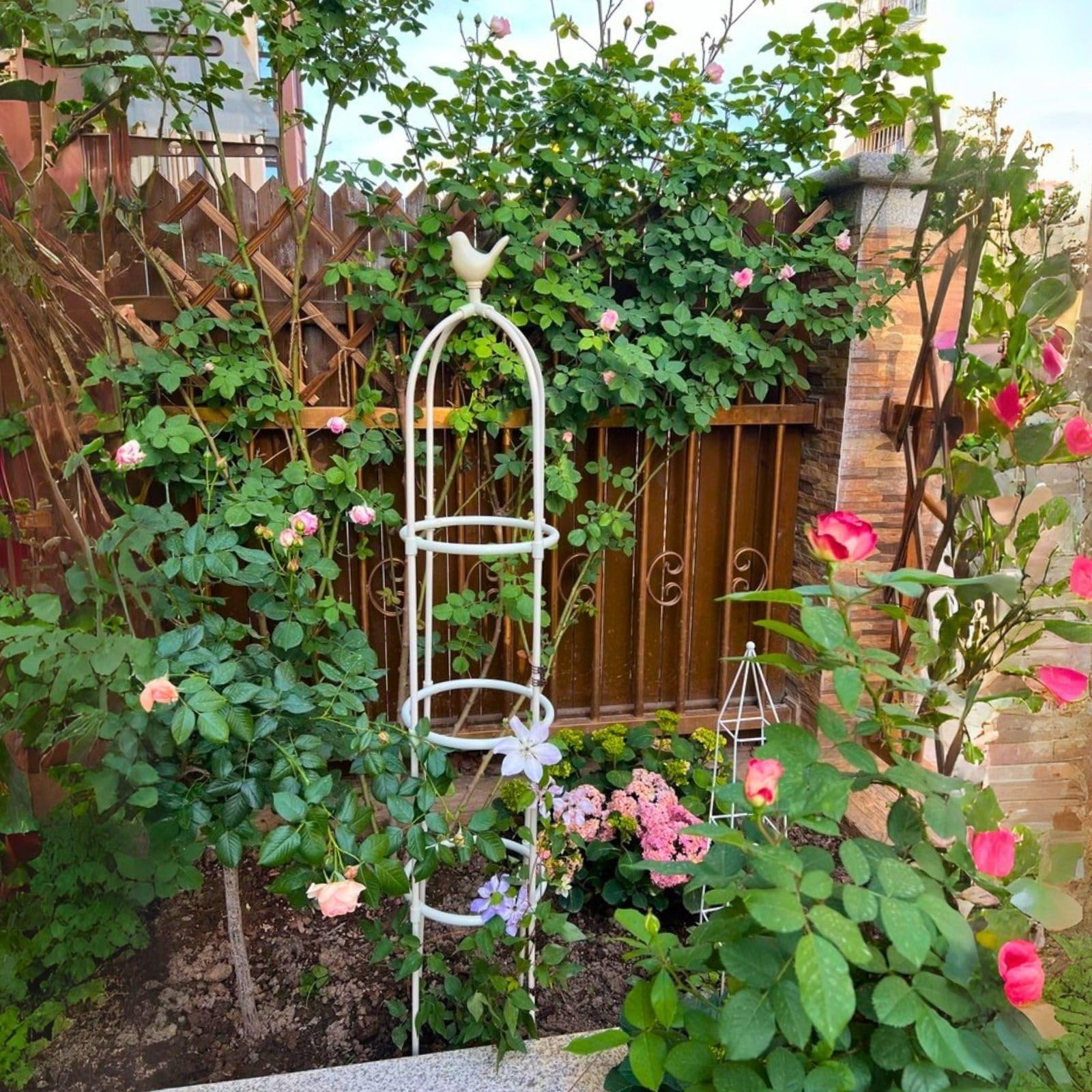 Enrejado de Obelisco de Jardín para Plantas Trepadoras, 165 175 Cm de Alto, Soporte de Plantas Trepadoras de Metal, Balcon Marco para Macetas, Plantas, Tomate, Pepino, Flores, Uva(Black,28 x 175cm/11