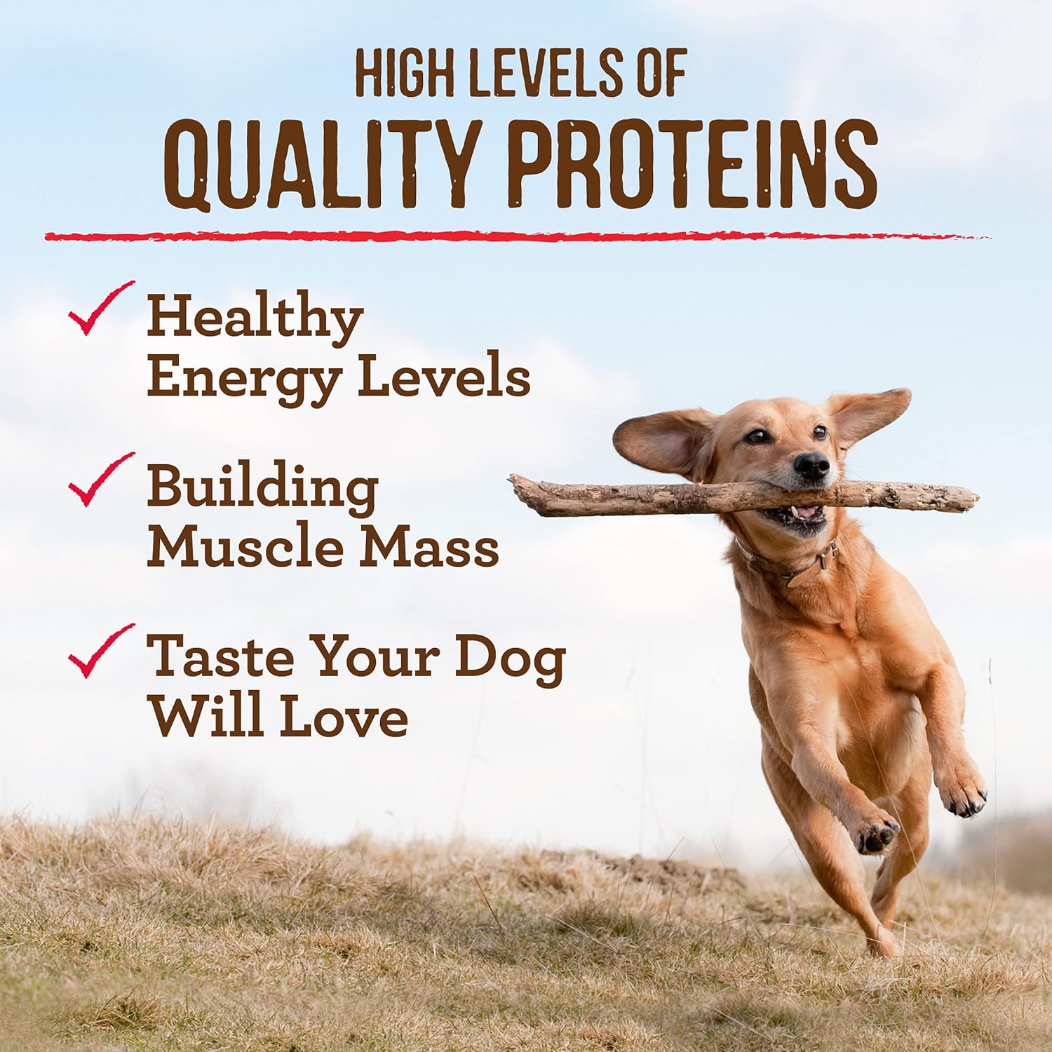 Merrick Grain Free Dry Dog Food Real Texas Beef & Sweet Potato Recipe - 22 lb Bag : Everything Else