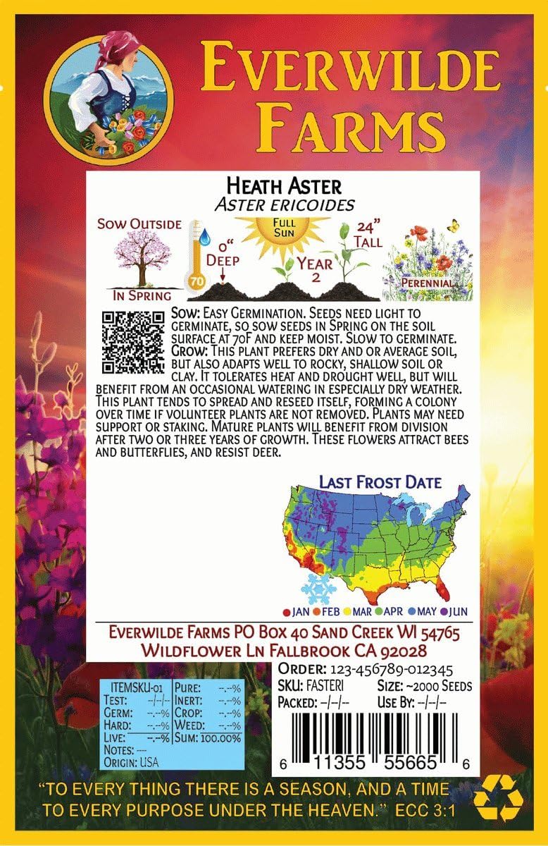 Everwilde Farms - 1 Oz Heath Aster Native Wildflower Seeds - Gold Vault
