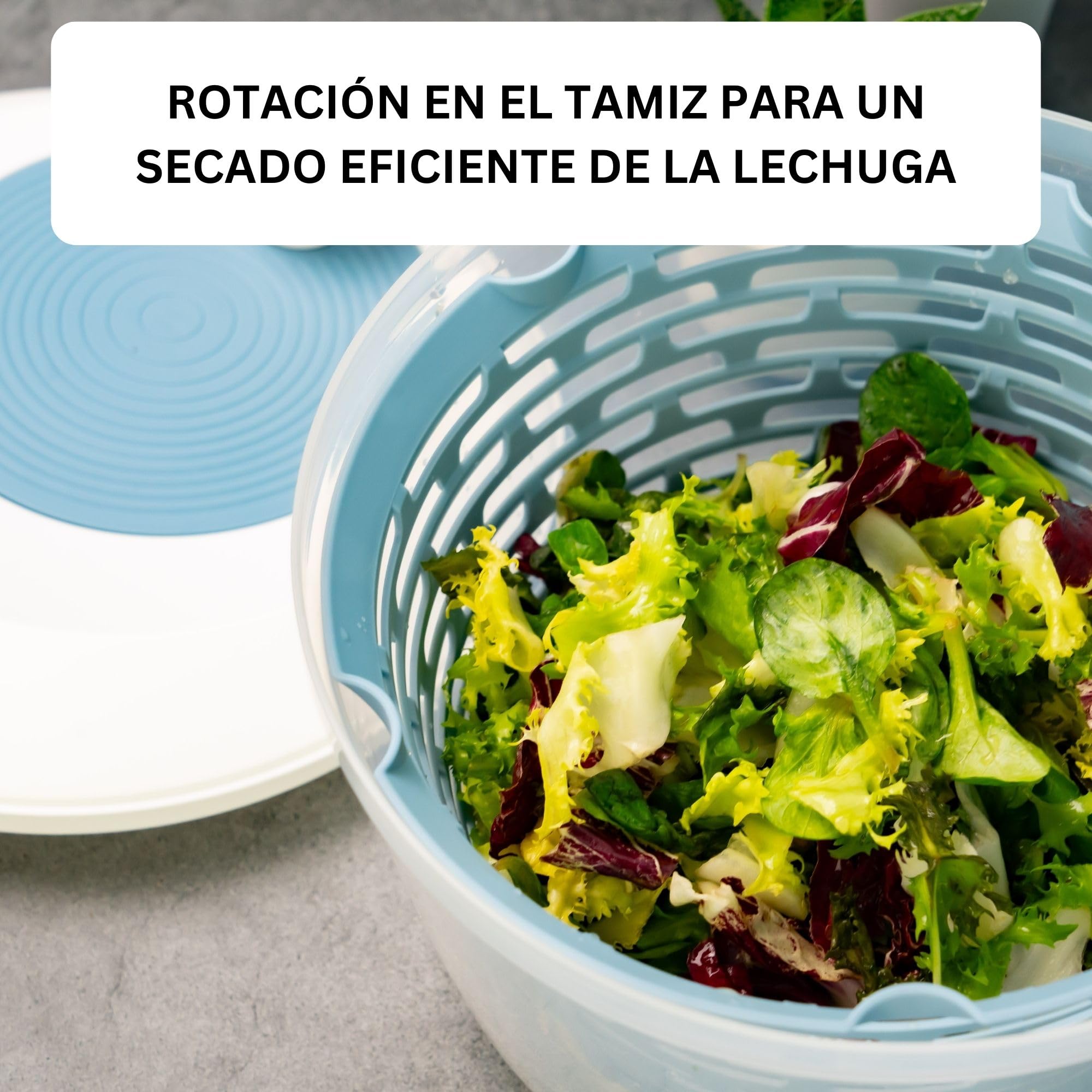 Centrifugadora de ensalada Westmark: ideal para lavar, centrifugar y servir ensaladas, ensaladera compacta con tapa y pico vertedor, antideslizante, 4,4 l – plástico, sin BPA