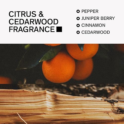 Miniatura 8 de Bravo Sierra - Desodorante natural sin aluminio para hombres protección contra olores y sudor durante todo el día vetiver blanco y madera de cedro