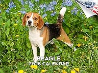 Vista 42 de Razas de Perros 2017