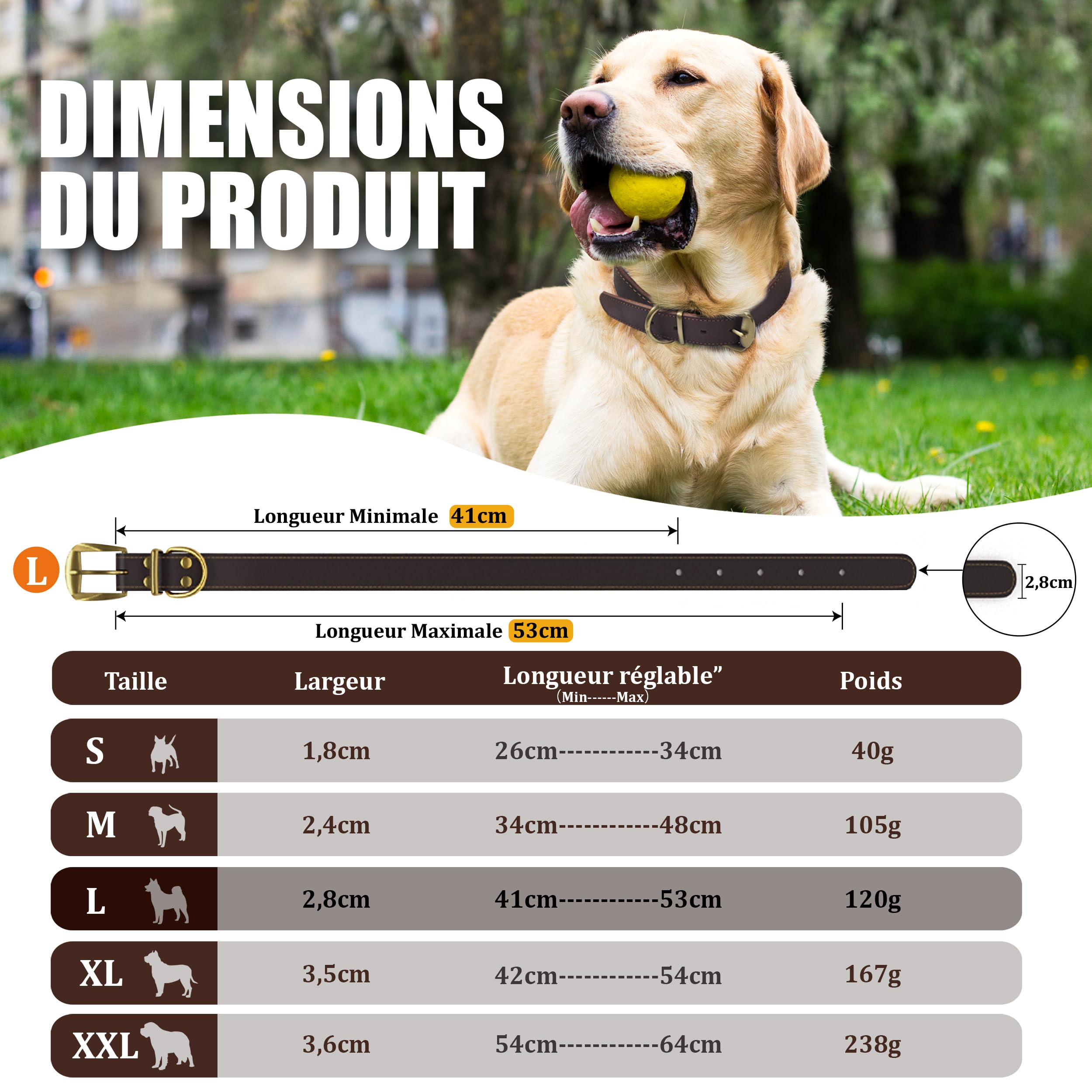 orthopädisches hundebett xxl günstig Orthopaedisches Hundebett main image 0