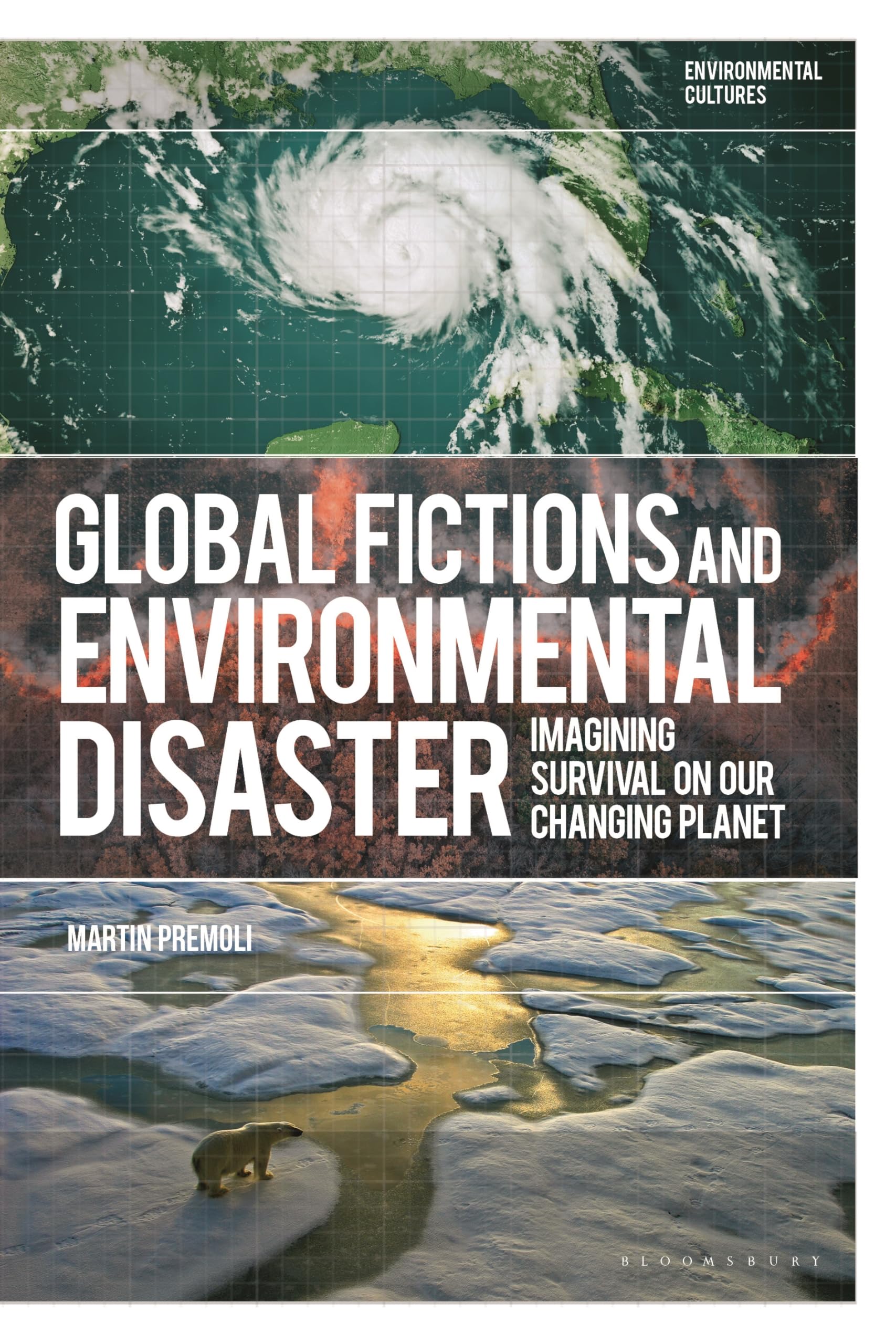Global Fictions and Environmental Disaster: Imagining Survival on Our Changing Planet (Environmental Cultures)