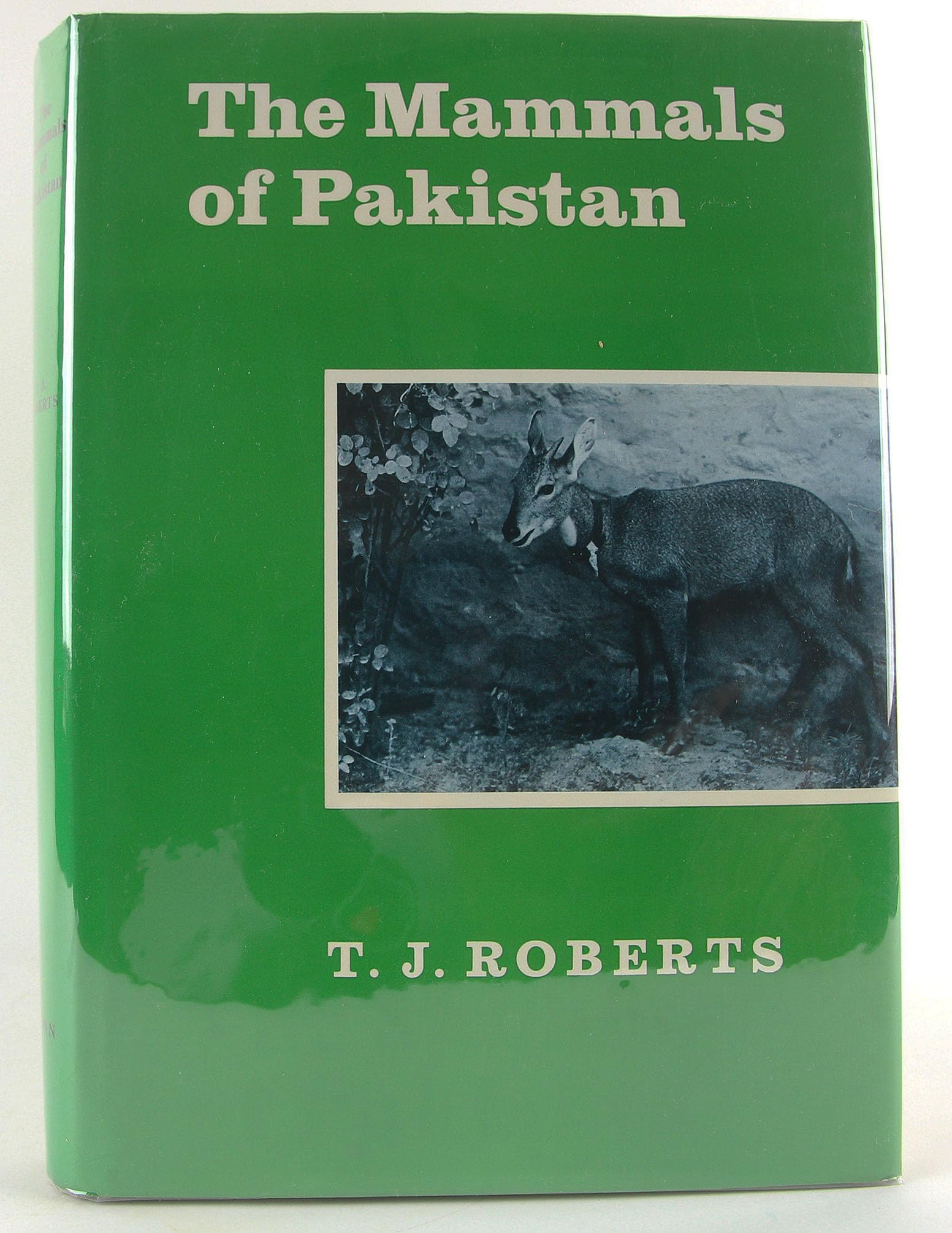 Buy Mammals of Pakistan — BookShops.in