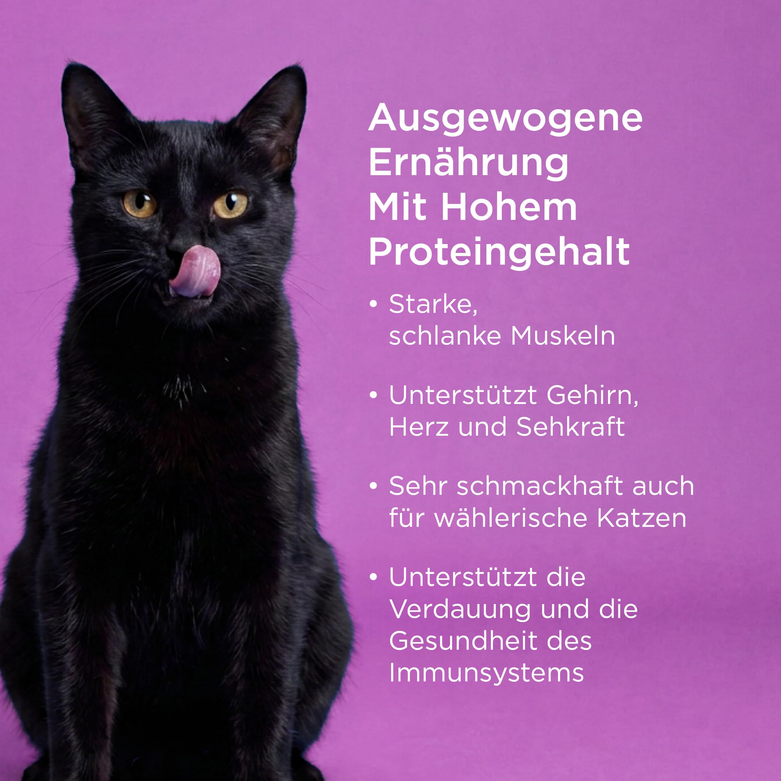 Go! Solutions Katzentrockenfutter Huhn, Truthahn & Ente Carnivore, 3,7 kg