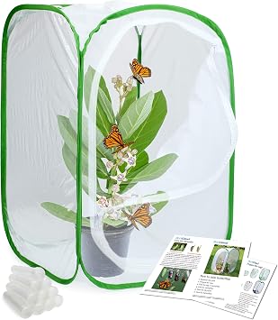 RESTCLOUD Insect and Butterfly Habitat Cage Terrarium Pop-up 24 Inches Tall with 10Pcs 10ML Floral Tubes