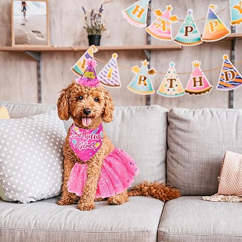 Miniatura 7 de SCENEREAL Bandana de cumpleaños para perro con sombrero y vestido para niña, suministros para fiesta de cumpleaños de cachorros, linda falda tutú