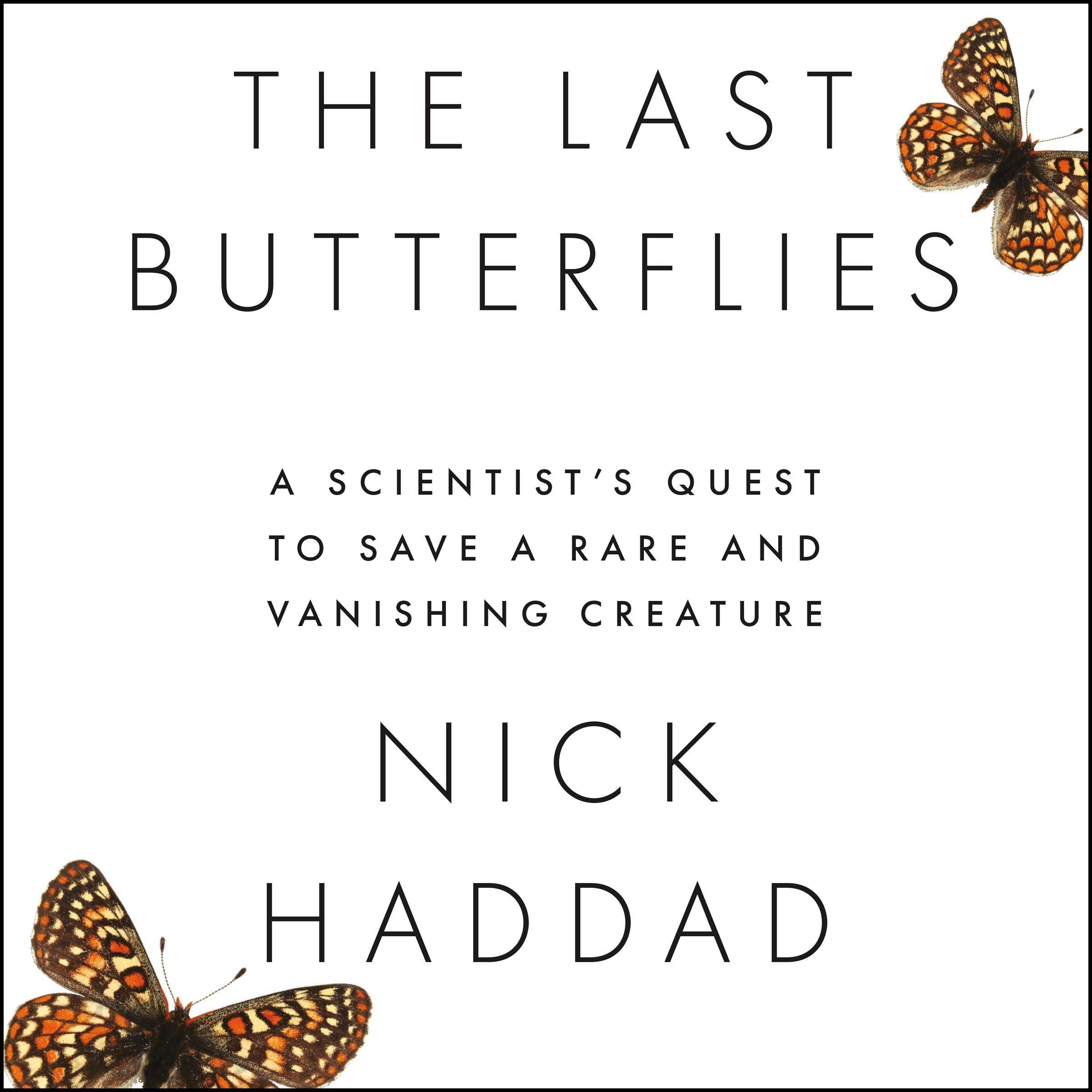 Cover art for The Last Butterflies
