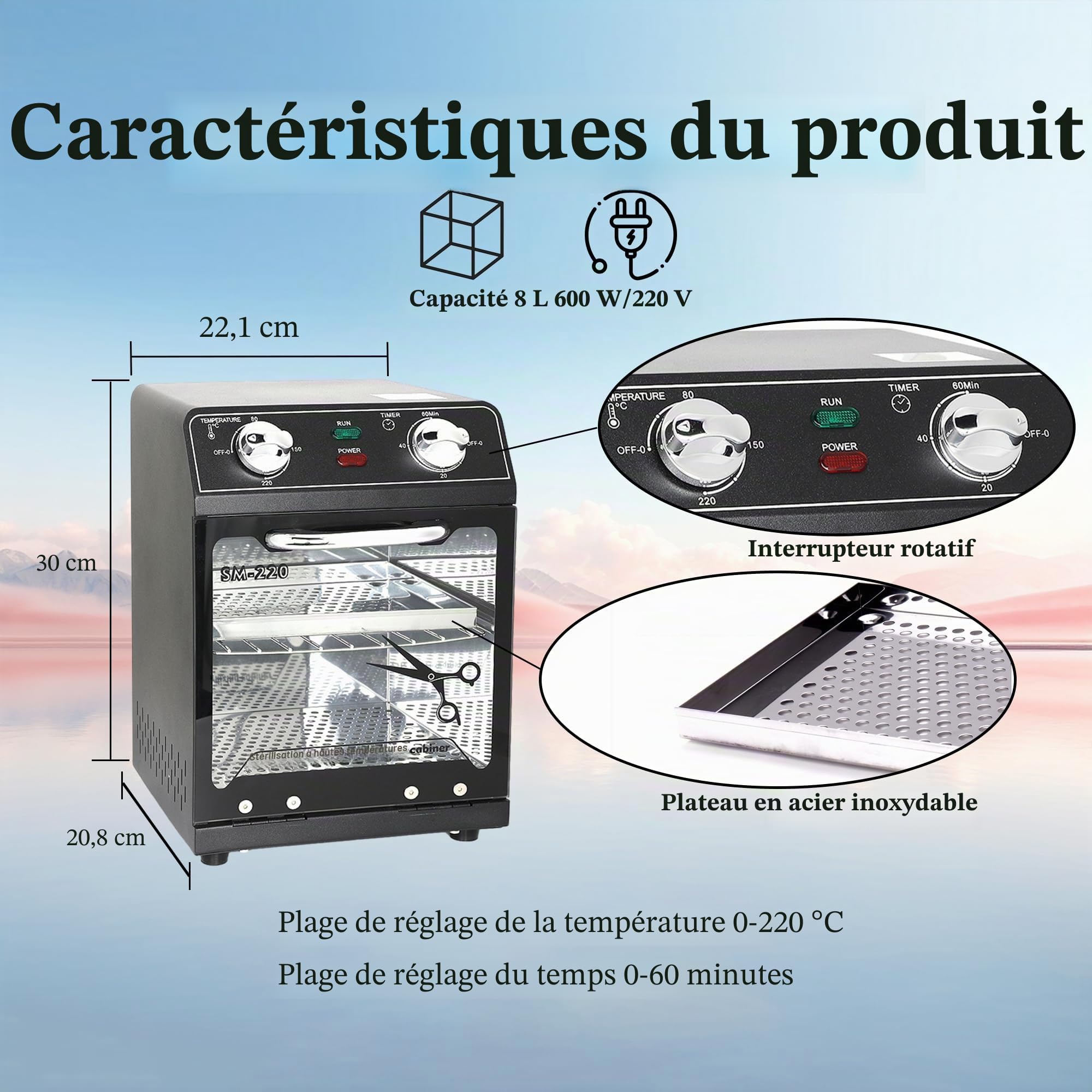 Stérilisateur à haute température, 10 L, grande capacité, température maximale 250 ℃, avec contrôle de la température et minuterie, pour salon de coiffure, spa, salon de manucure, stérilisateur