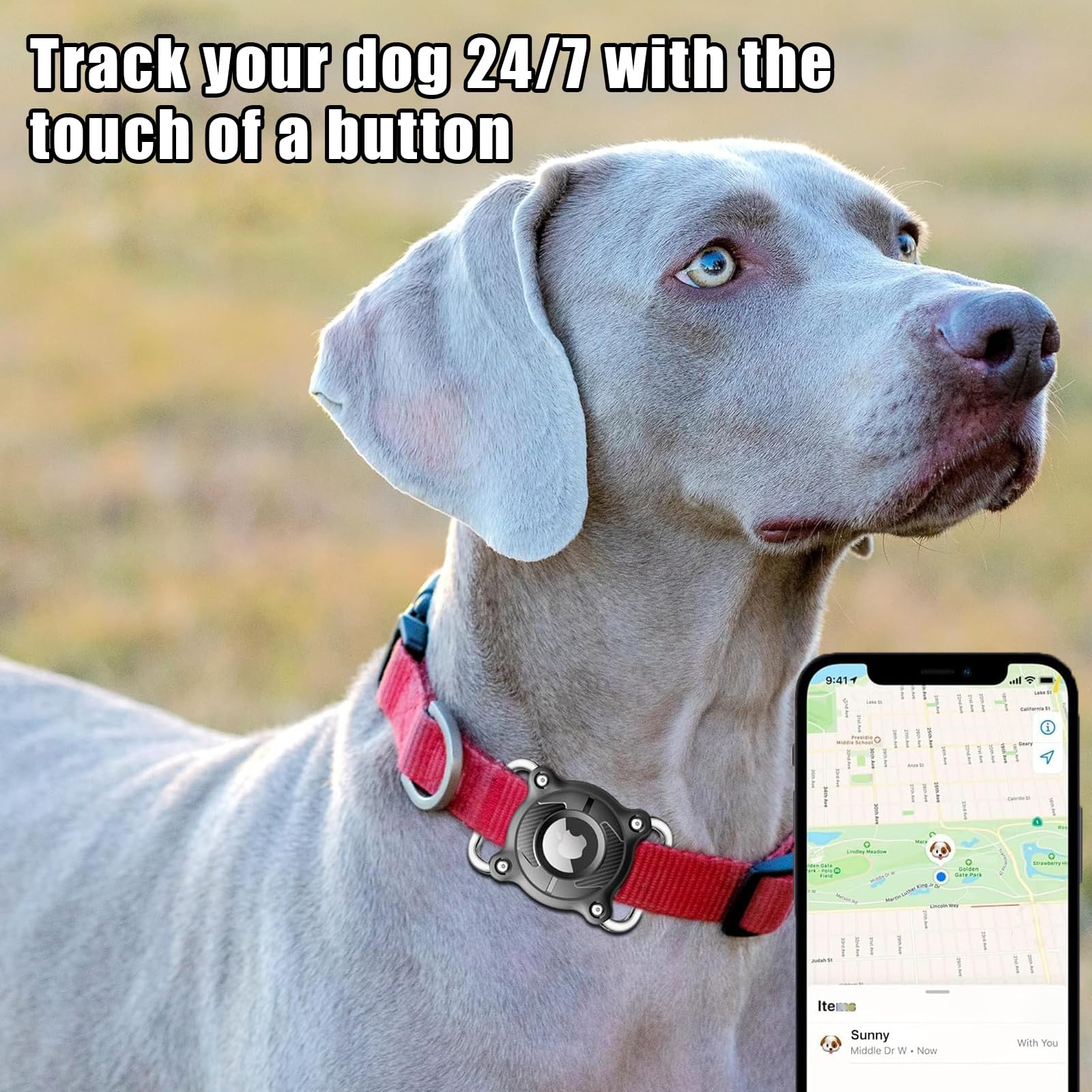 LIUYIDM Wasserdicht Airtag Anhnger fr Hundehalsband mit Abnehmbarer  Metallschnalle Hundemarke Personalisiert 4 cm Breit Airtag Halsband Hund,  Kompatibel mit AppleAirTag (Schwarz) : Amazon.de: Haustier