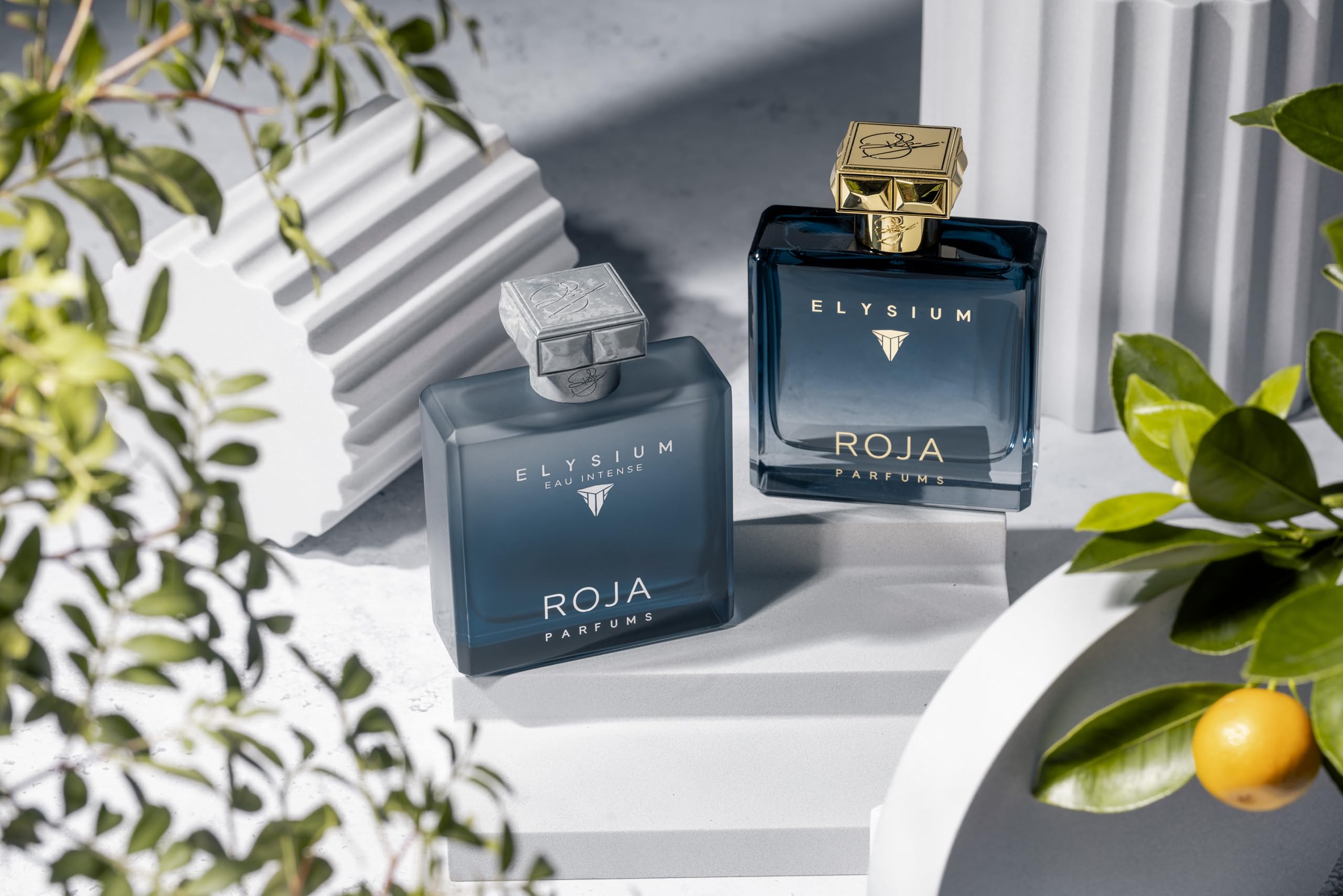 Roja Elysium Eau Intense Pour Homme – 3.4 Fl Oz : Amazon.co.za: Beauty