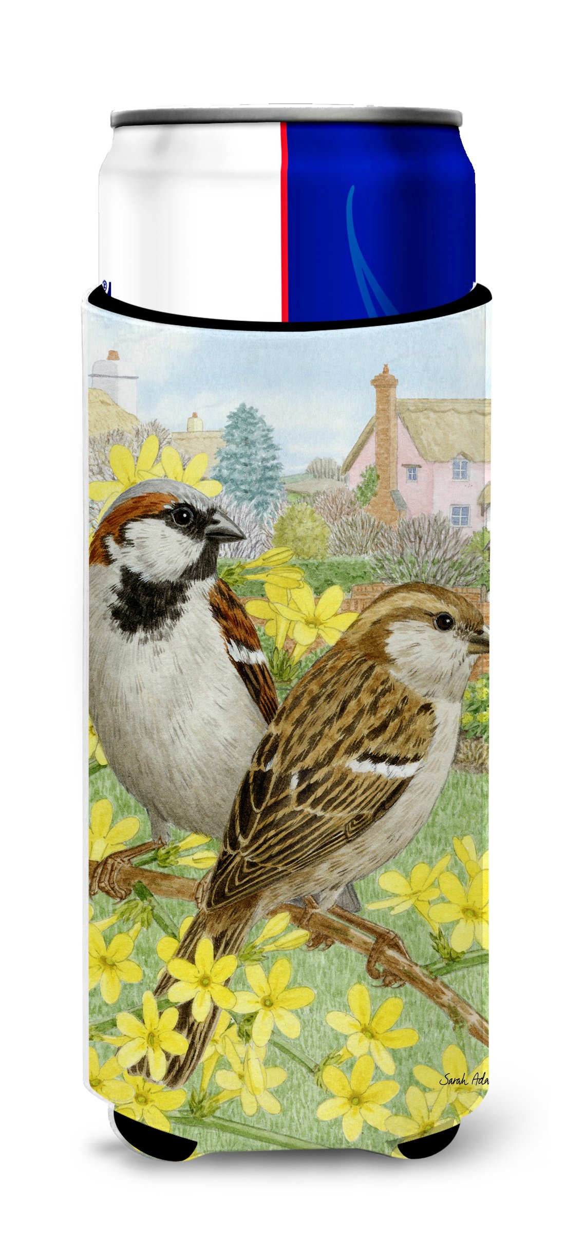 Caroline's Treasures ASA2091MUK House Sparrows Michelob Ultra Koozies for Slim Cans, Multicolor