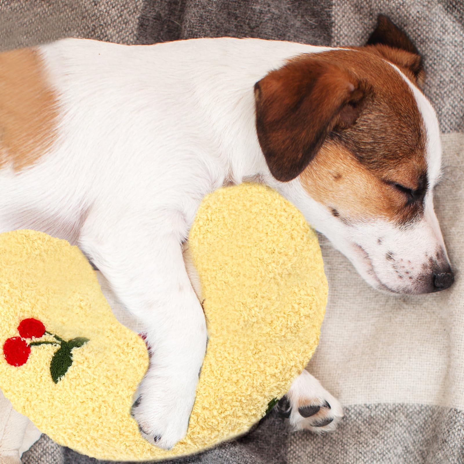 Bacon Egg Flavor Adult Wet SupeRed Purina Oist And Eaty Dog