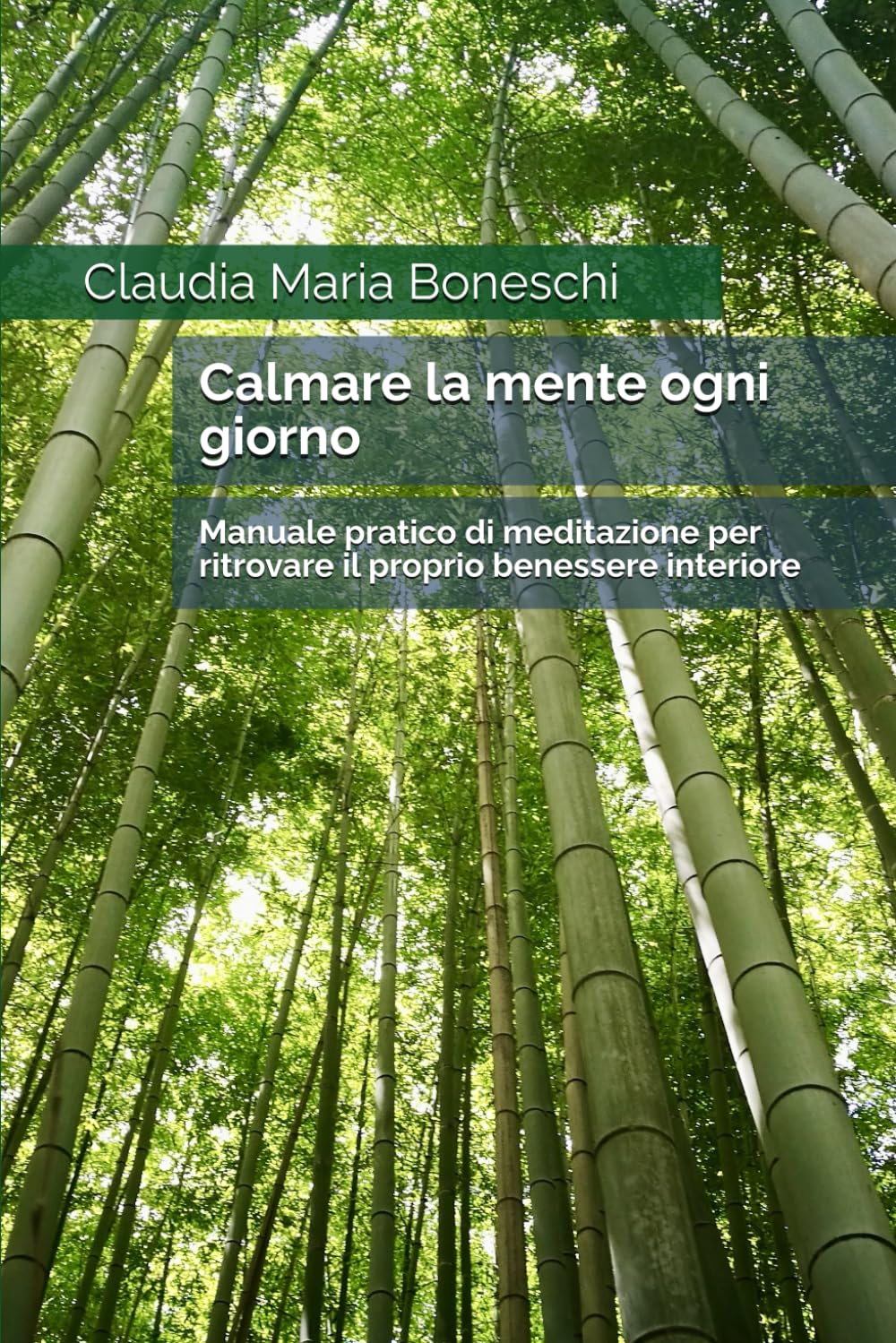 Calmare la mente ogni giorno: Manuale pratico di meditazione per ritrovare il proprio benessere interiore