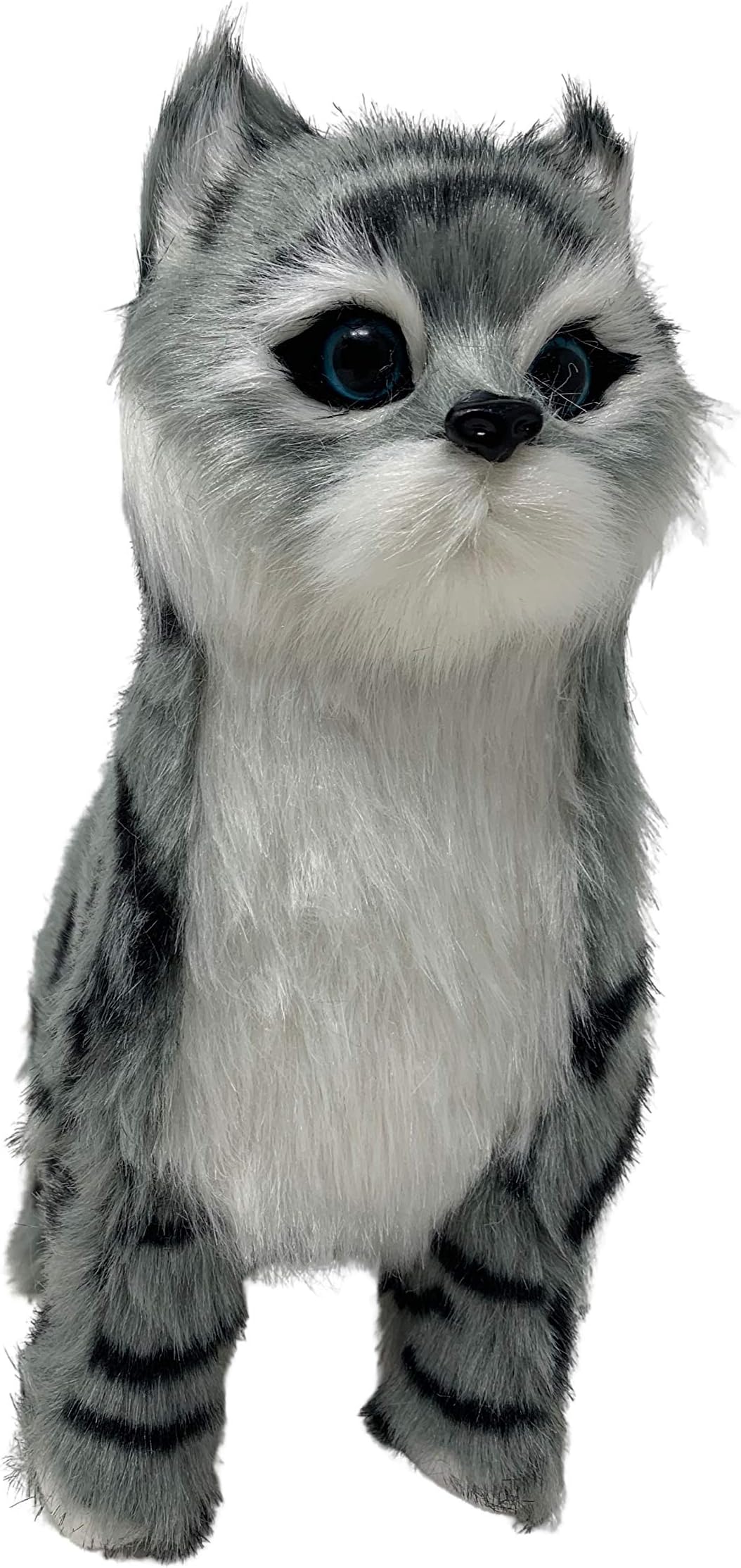 Call Us Toys My Little Cat Wiggling, Walking/Oinking, Electronic with Remote Controlled Leash -Plush Toy (Color May Vary)