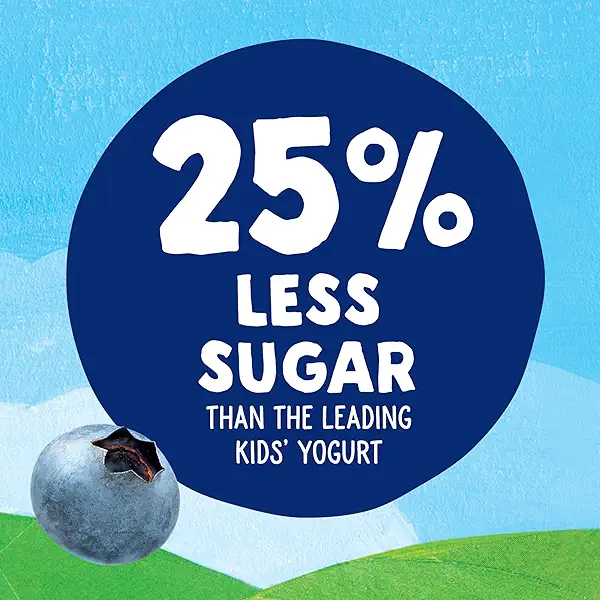 Stonyfield Organic Kids Blueberry Lowfat Yogurt, 3.5 oz. Pouch, Single Serve – Includes Live Active Cultures 5