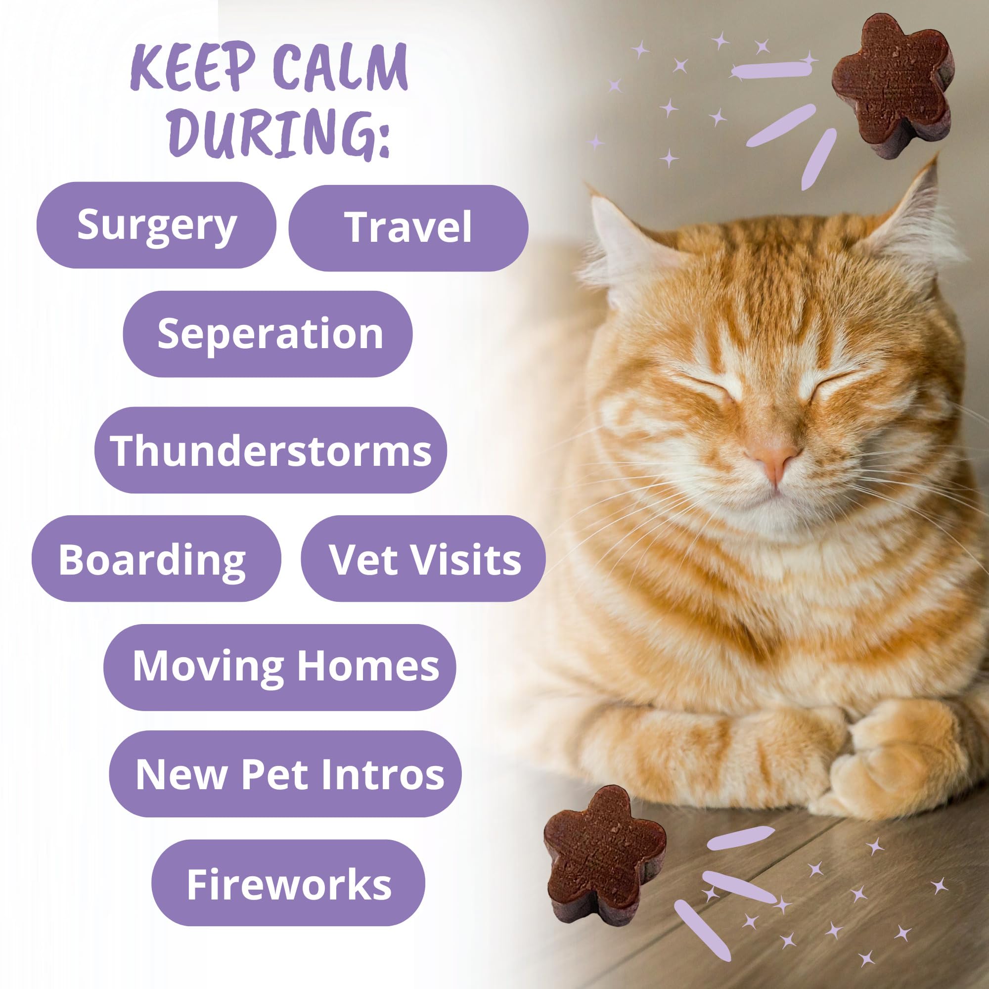 Under the Weather Pets | Natural Calming for Cats, 60 Soft Chews |áIngredients Include Thiamine, Normal Nervous System Function | L-Theanine Relaxation, Sleep | L-Tryptophan an Converted to Serotonin - image 5